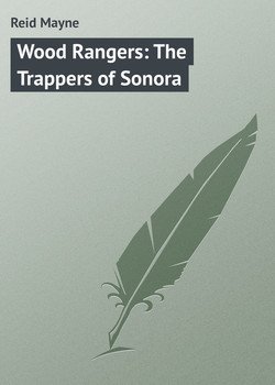 читать Wood Rangers: The Trappers of Sonora