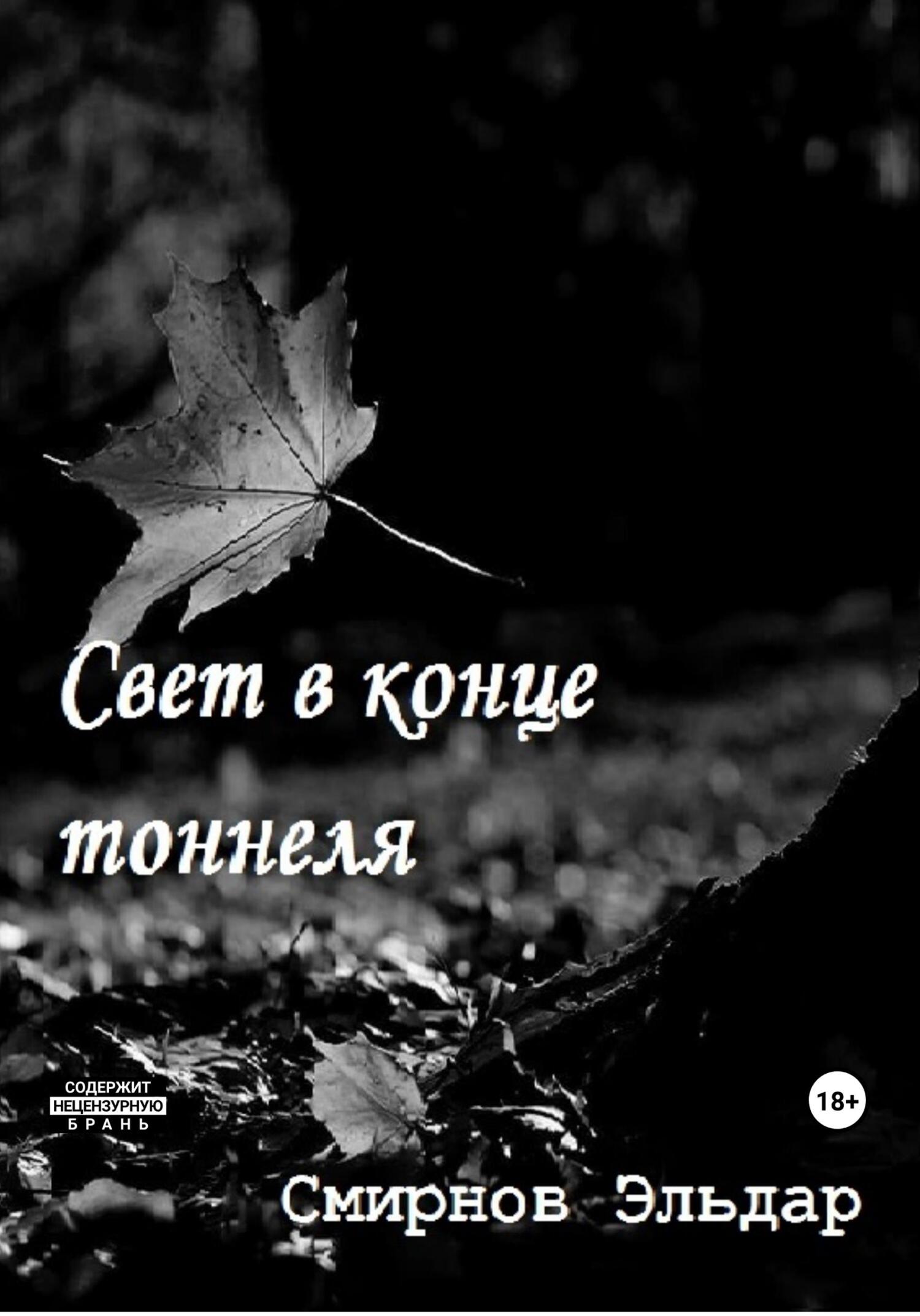 читать Свет в конце тоннеля