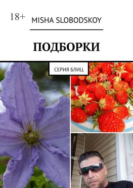 читать Подборки. Серия блиц