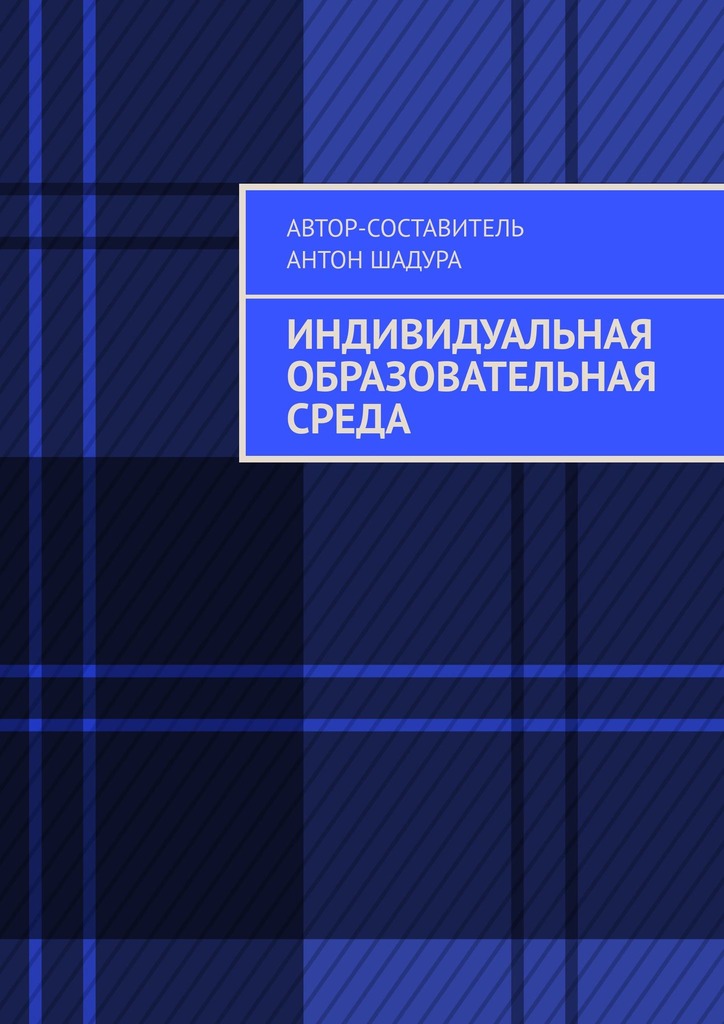 читать Индивидуальная образовательная среда