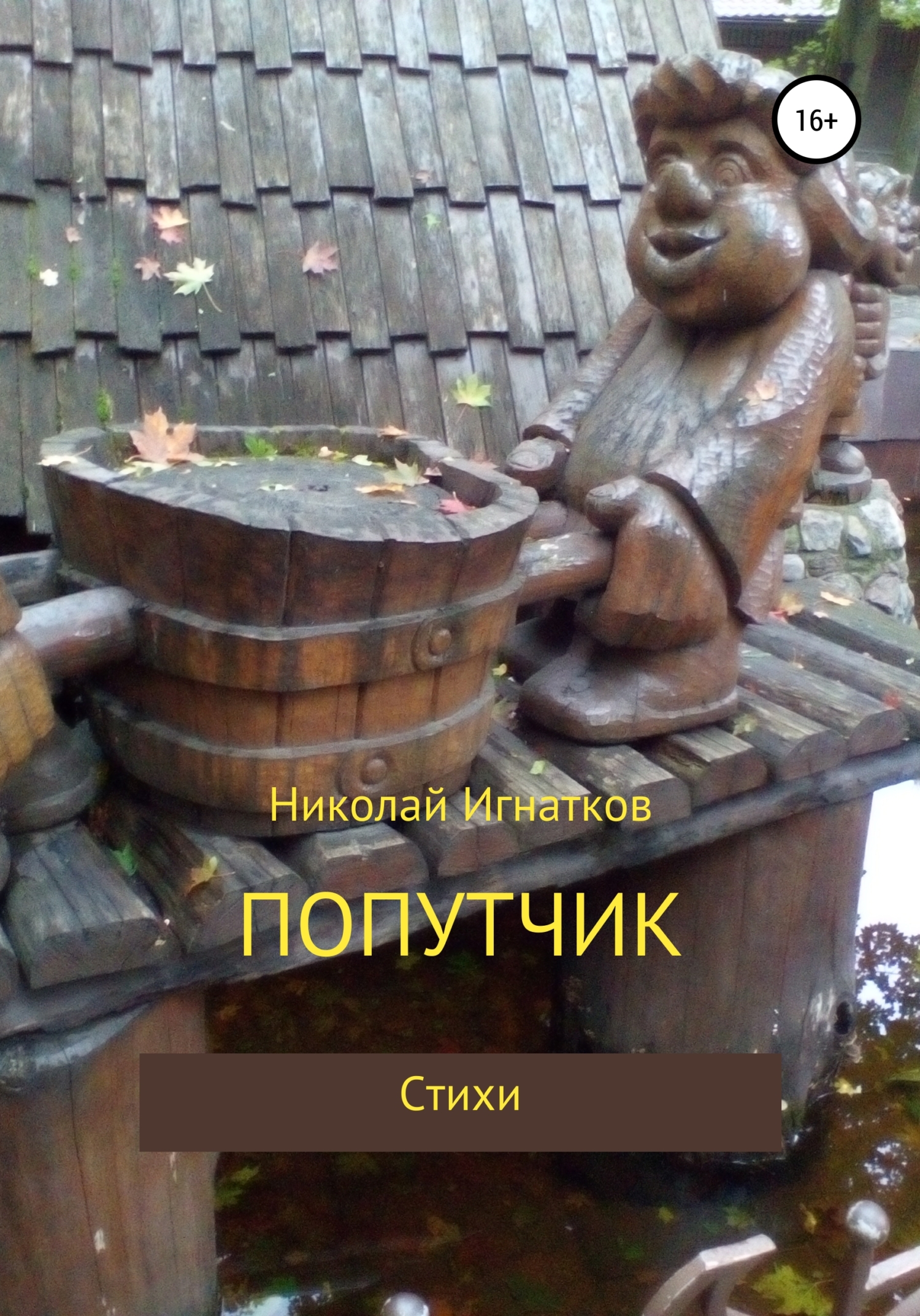 читать Попутчик
