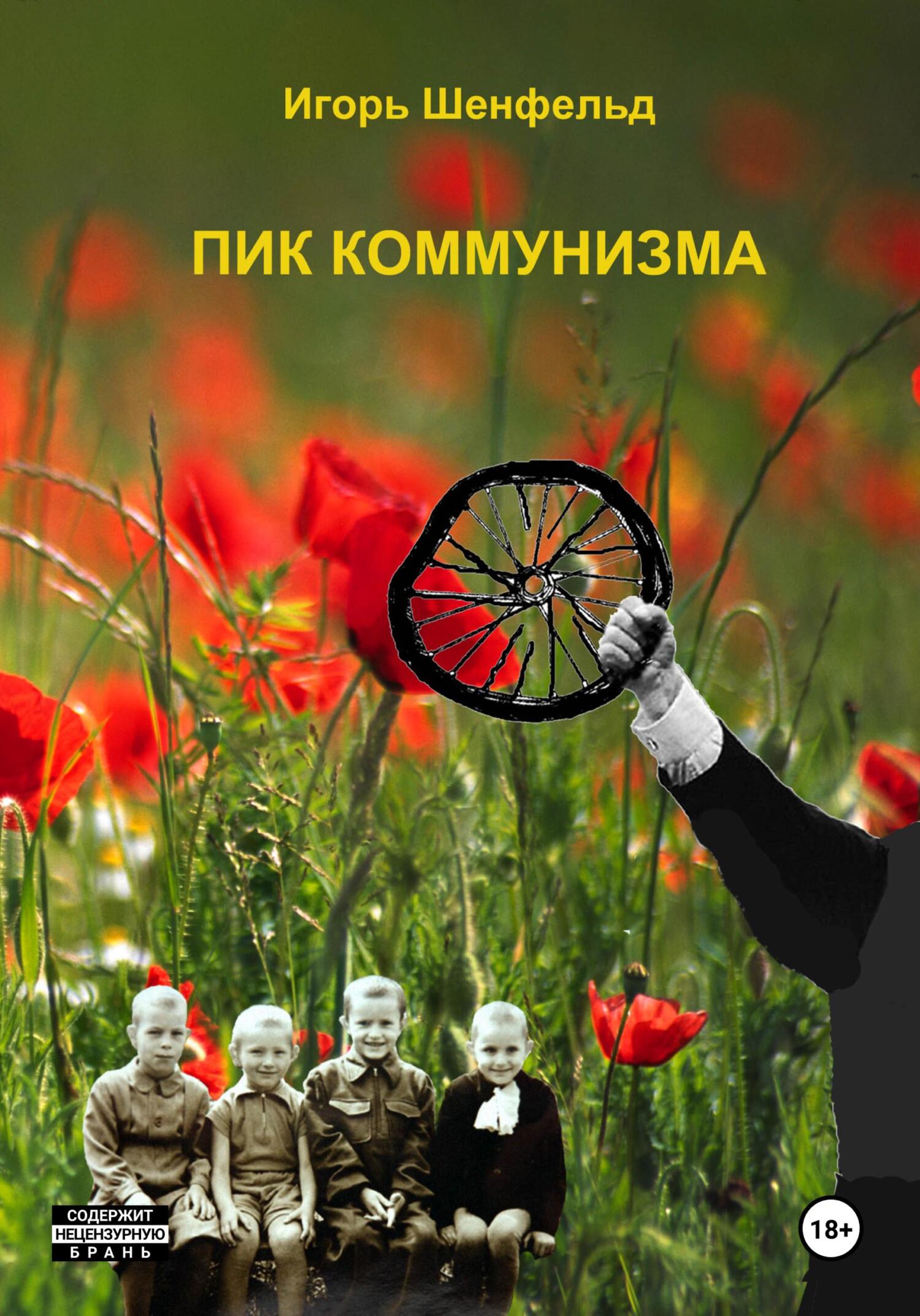 читать Пик коммунизма
