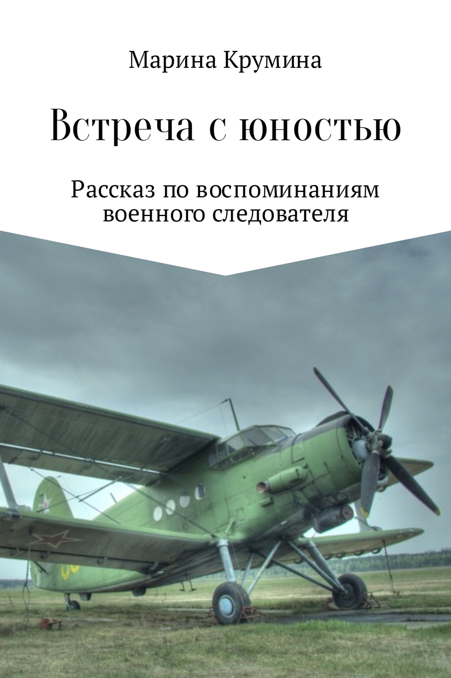 читать Встреча с юностью