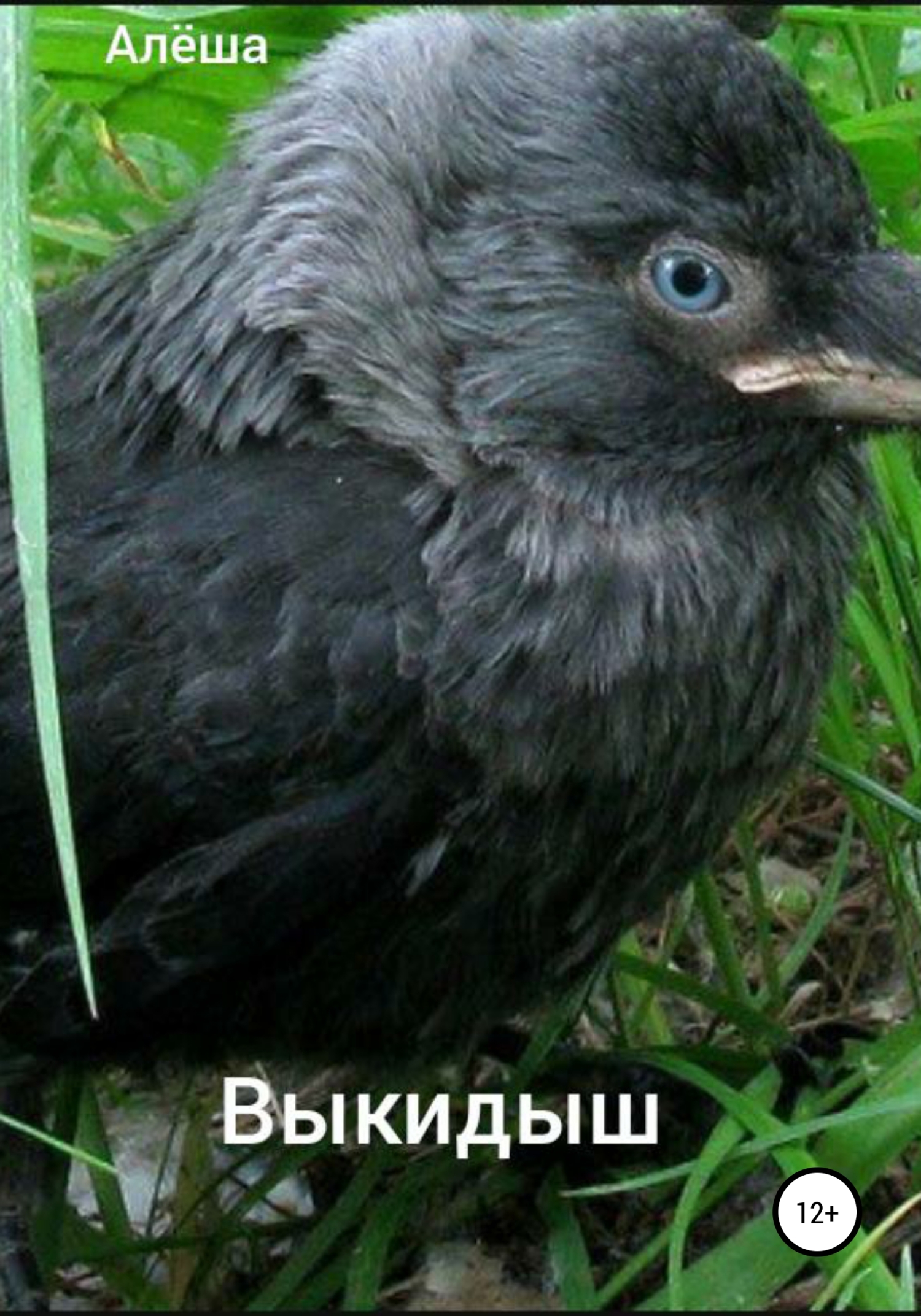 читать Выкидыш
