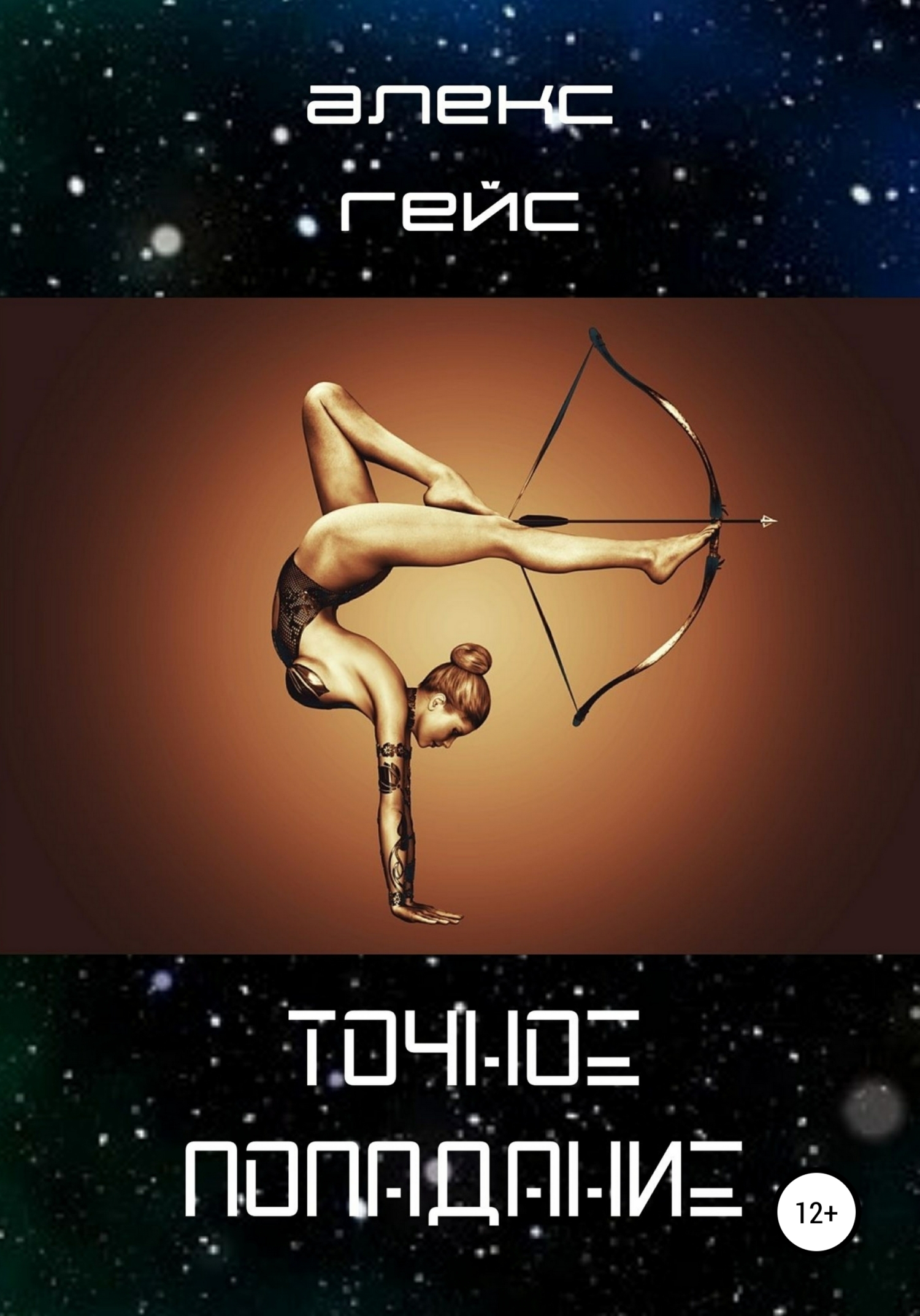 читать Точное попадание