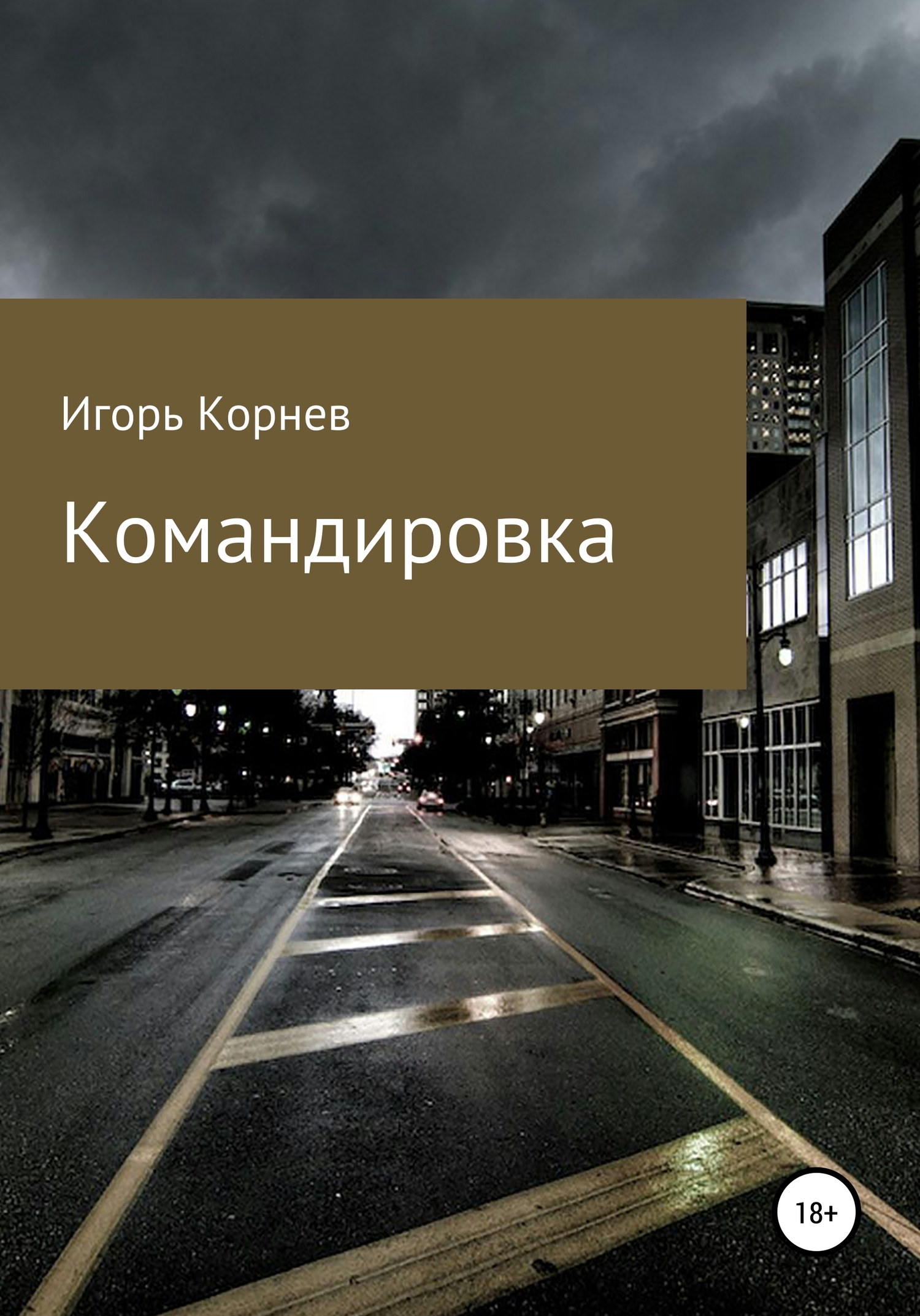 читать Командировка