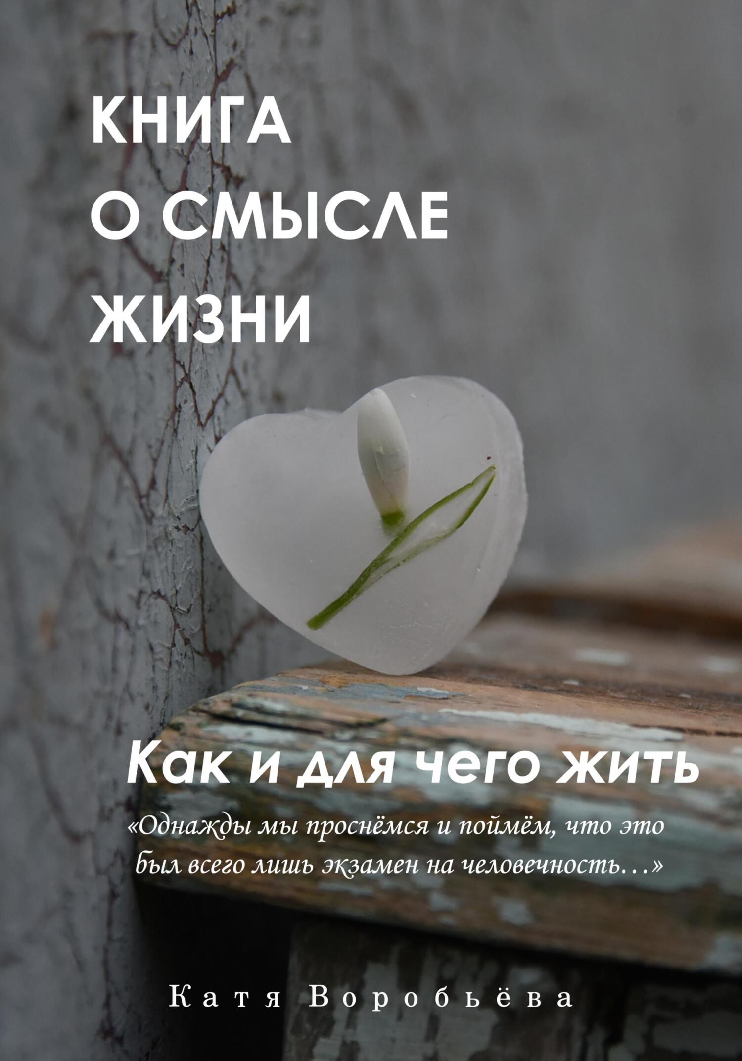 читать Книга о смысле жизни. Как и для чего жить