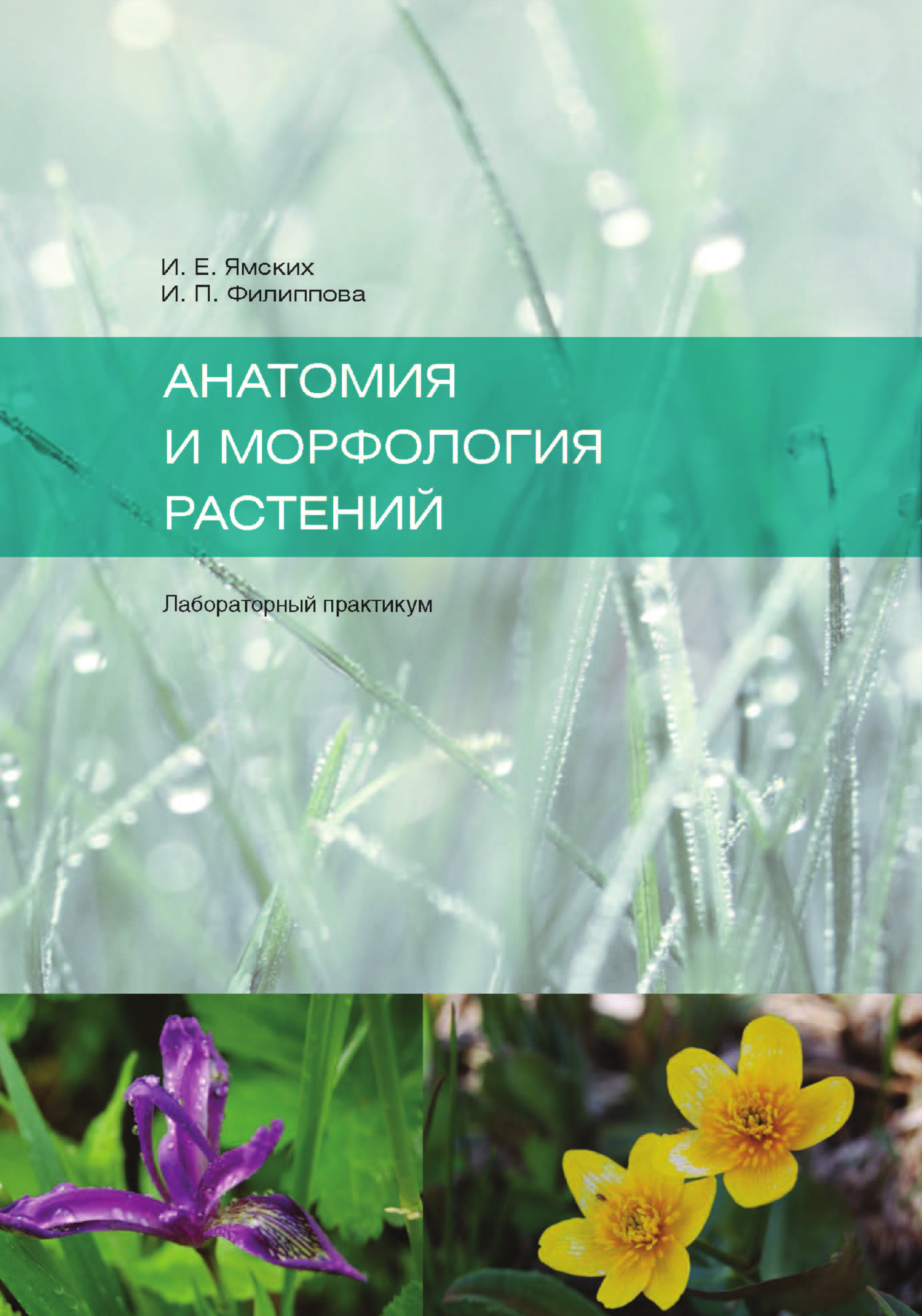читать Анатомия и морфология растений