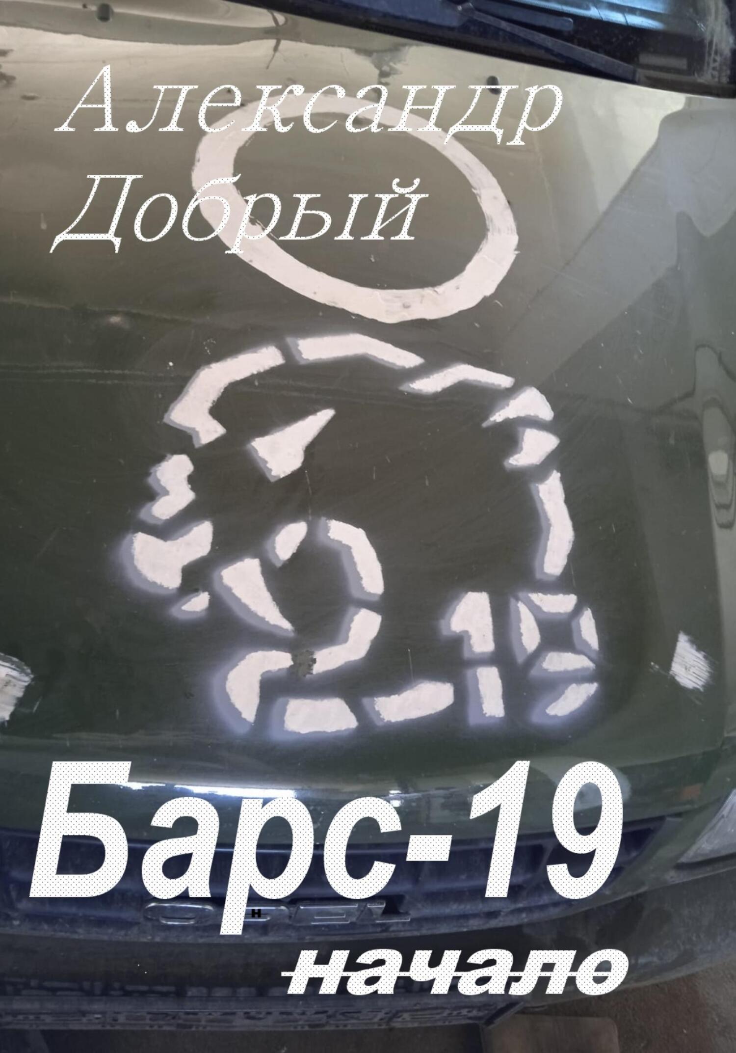 читать Барс-19. Начало