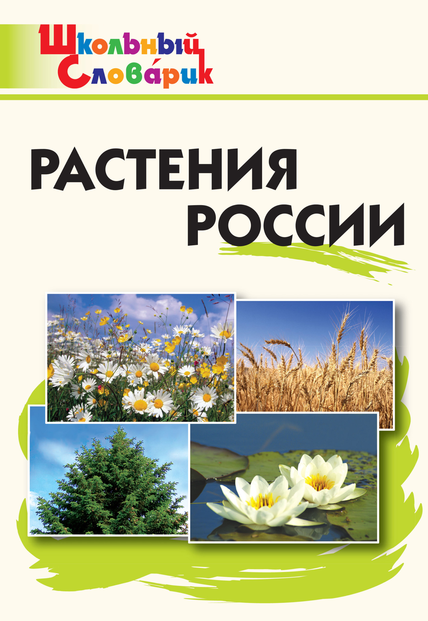 читать Растения России. Начальная школа