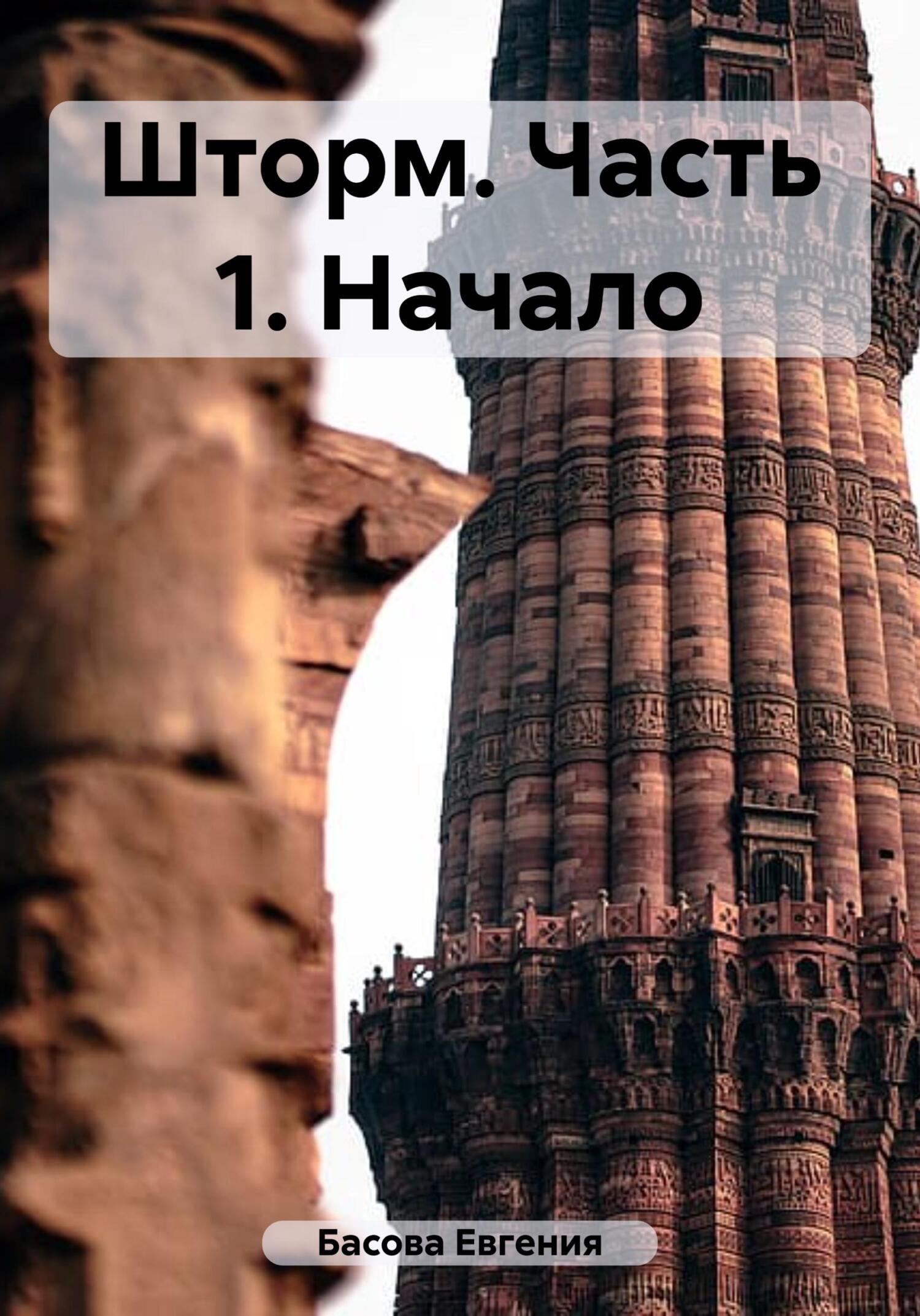 читать Шторм. Часть 1. Начало