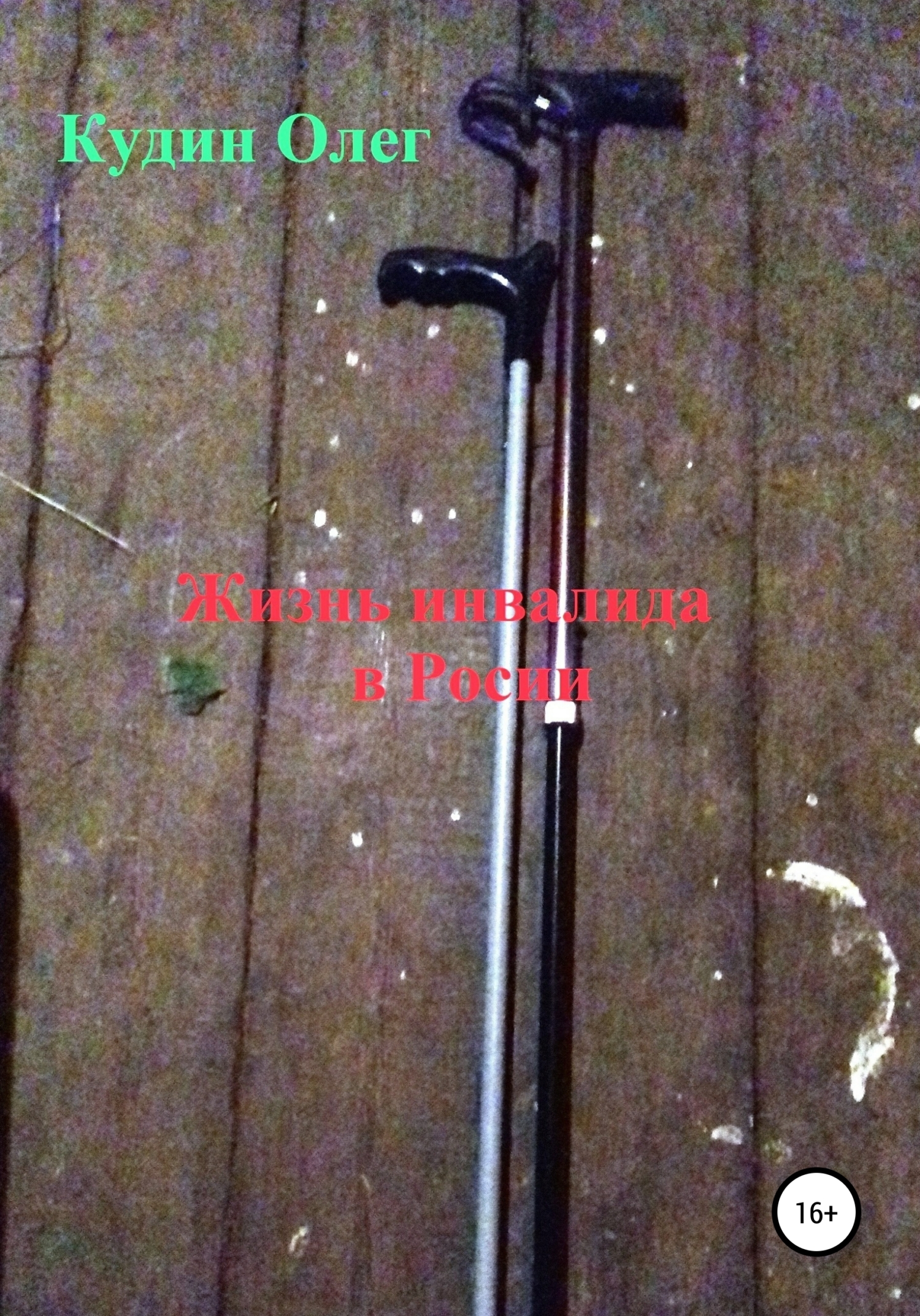 читать Жизнь инвалида в России