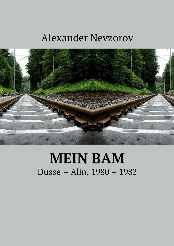 читать Mein BAM. Dusse—Alin, 1980—1982