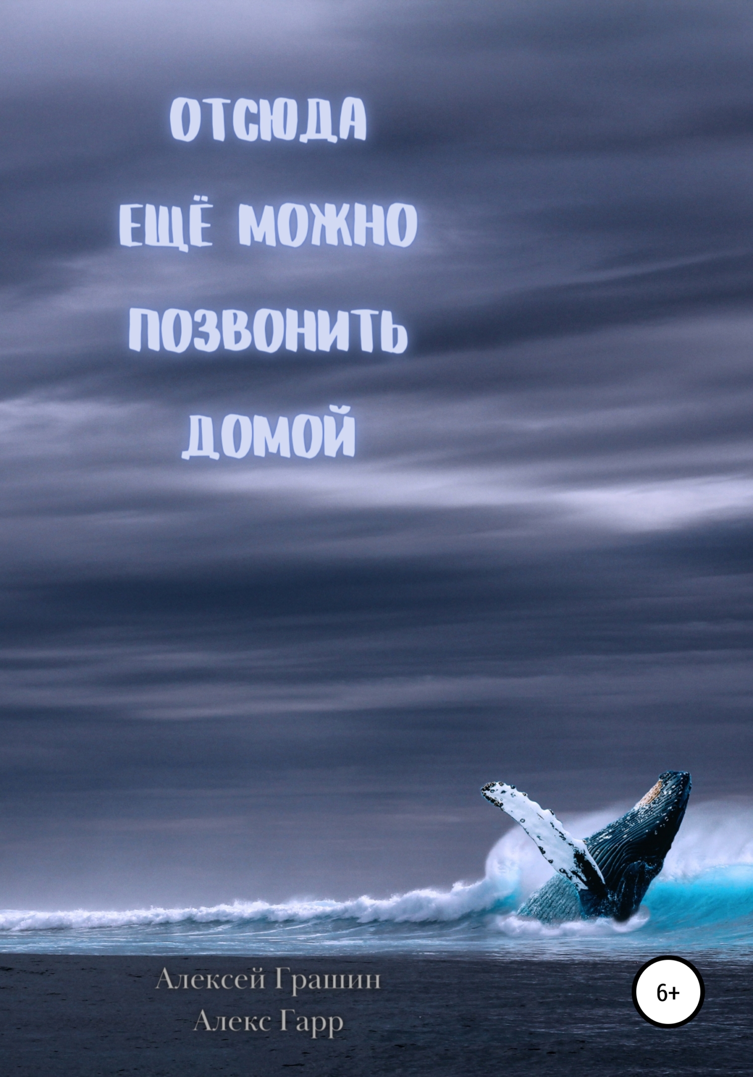 читать Отсюда еще можно позвонить домой