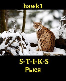 читать Рыся