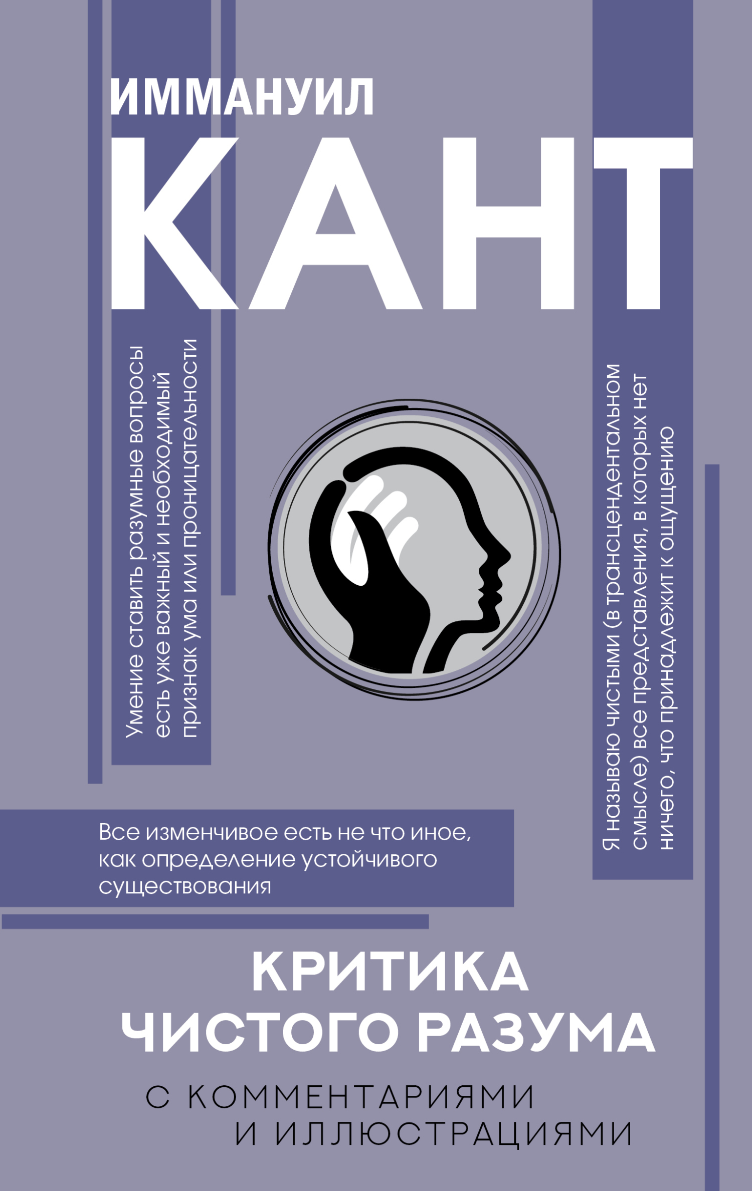 читать Критика чистого разума. С комментариями и иллюстрациями
