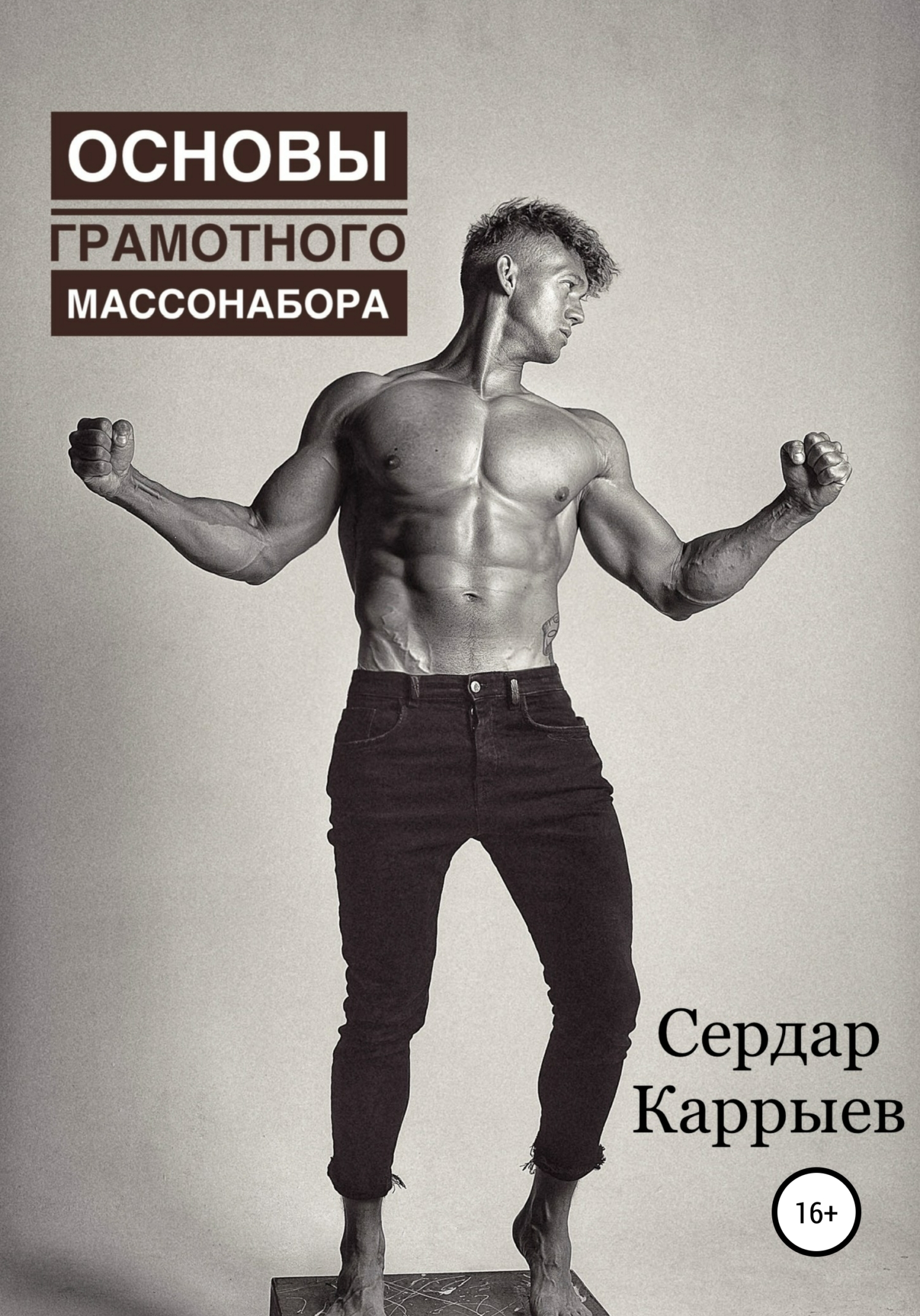читать Основы грамотного массонабора