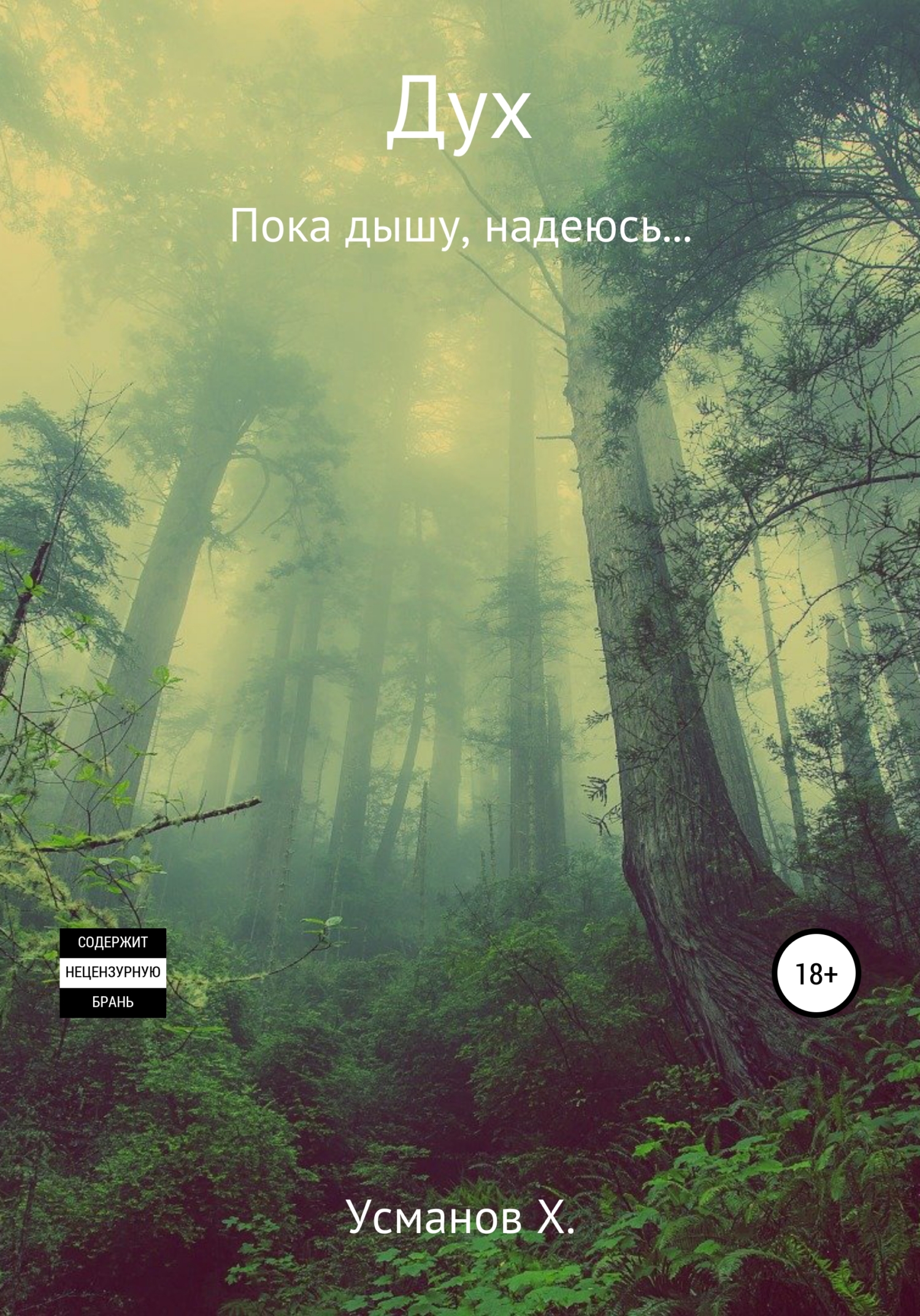 читать Дух. Пока дышу, надеюсь…