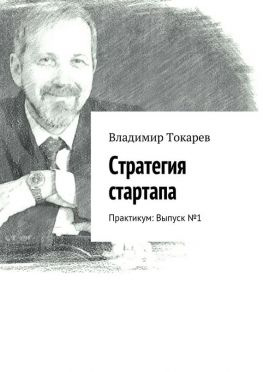 читать Стратегия стартапа. Практикум: Выпуск  1