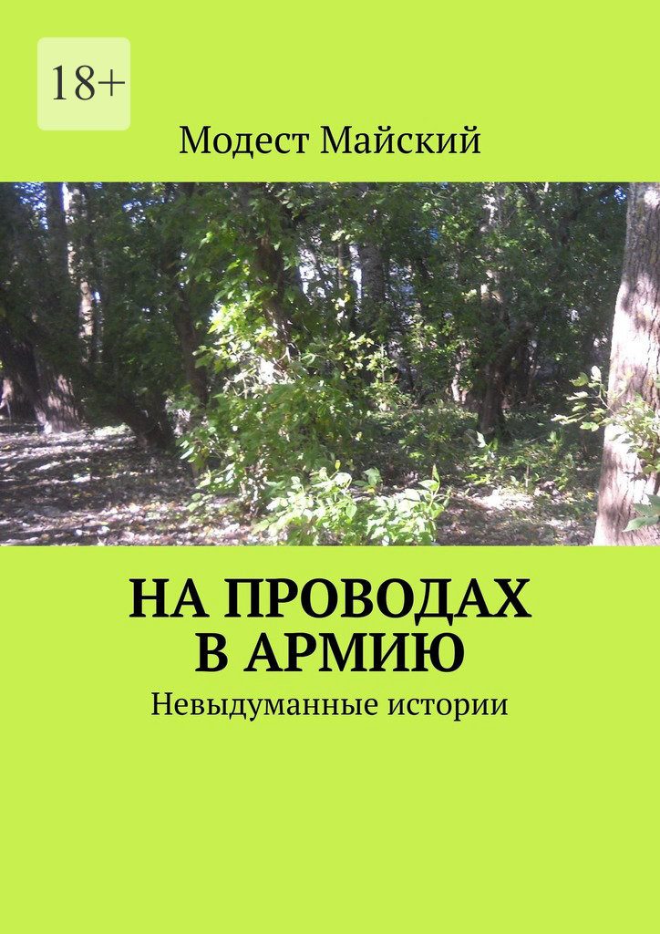 читать На проводах в армию. Невыдуманные истории