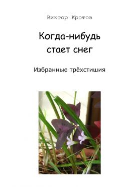 читать Когда-нибудь стает снег. Избранные трёхстишия