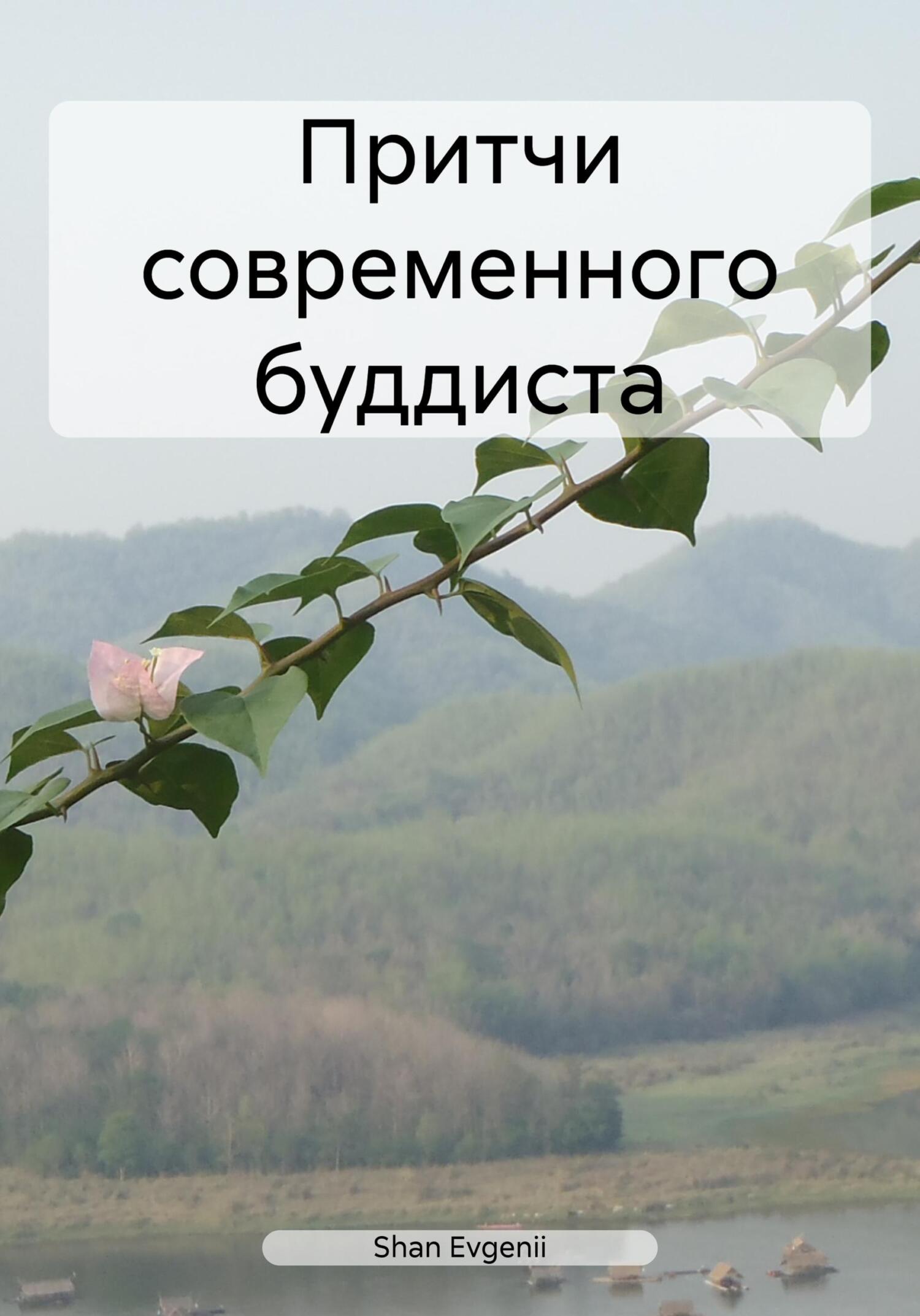читать Притчи современного буддиста