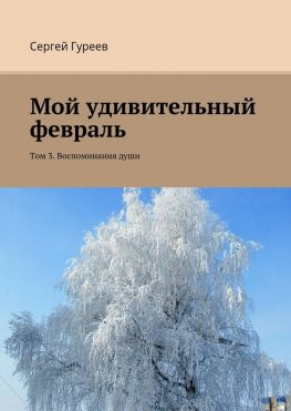 читать Мой удивительный февраль. Том 3. Воспоминания души