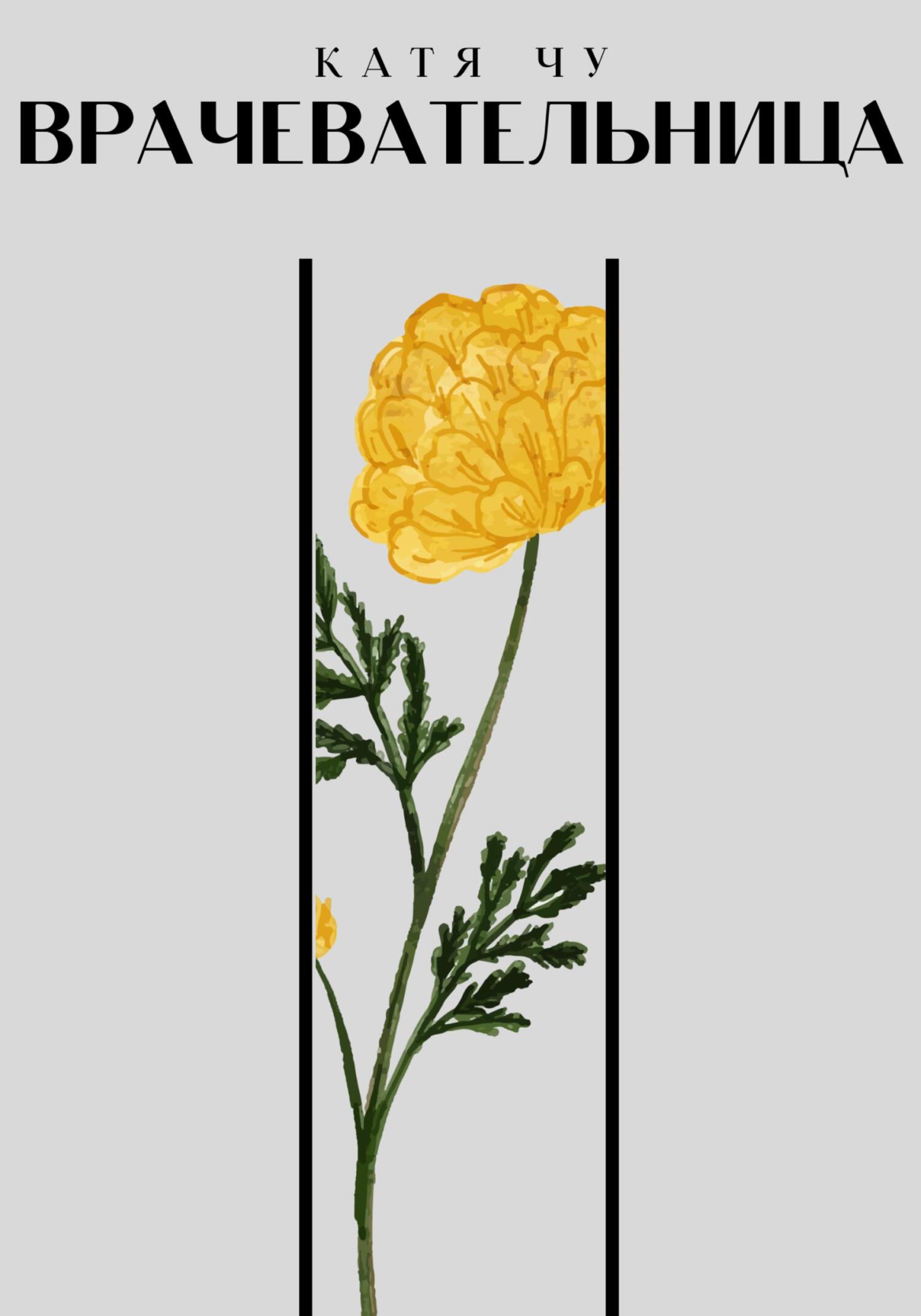 читать Врачевательница