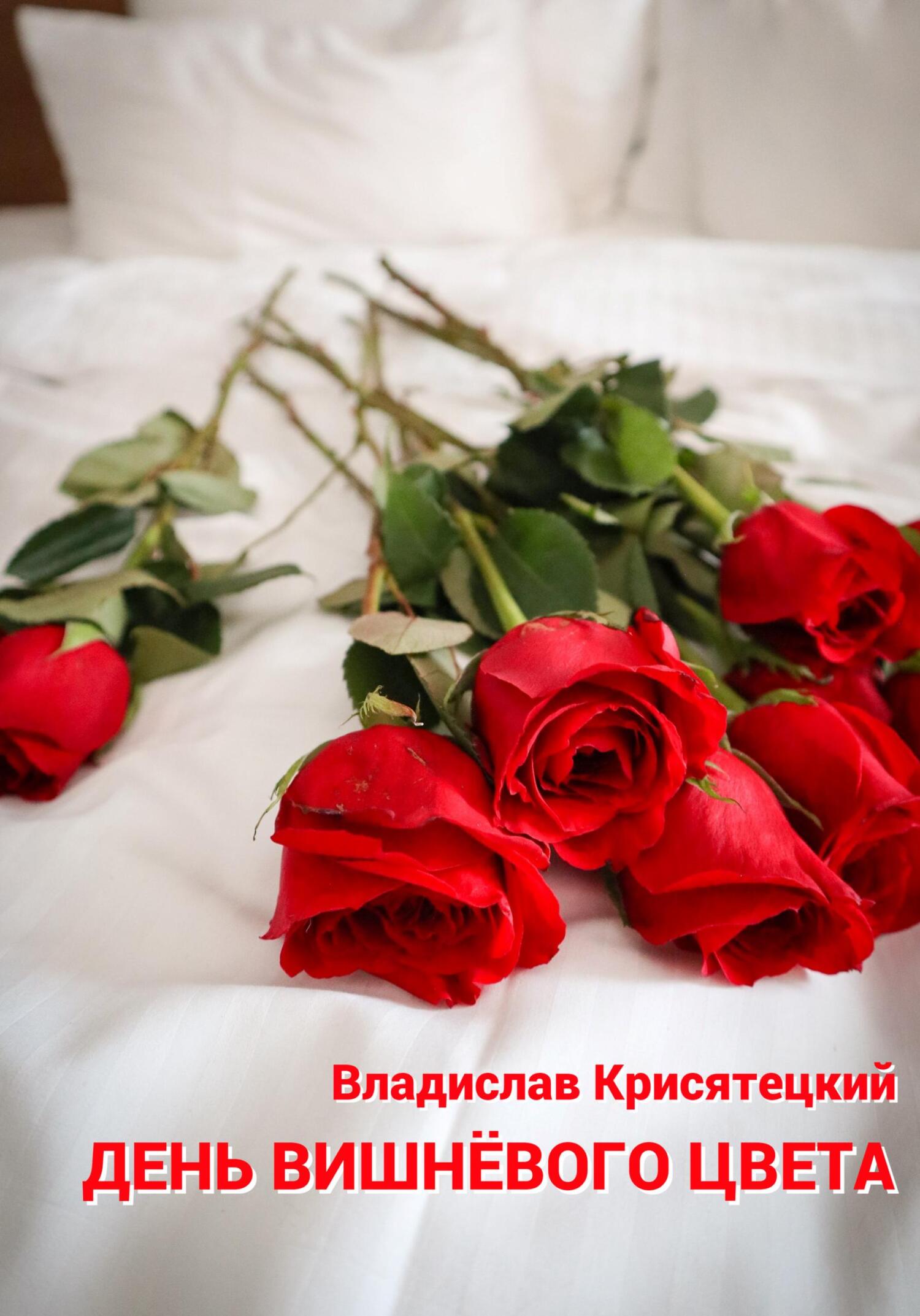 читать День вишневого цвета