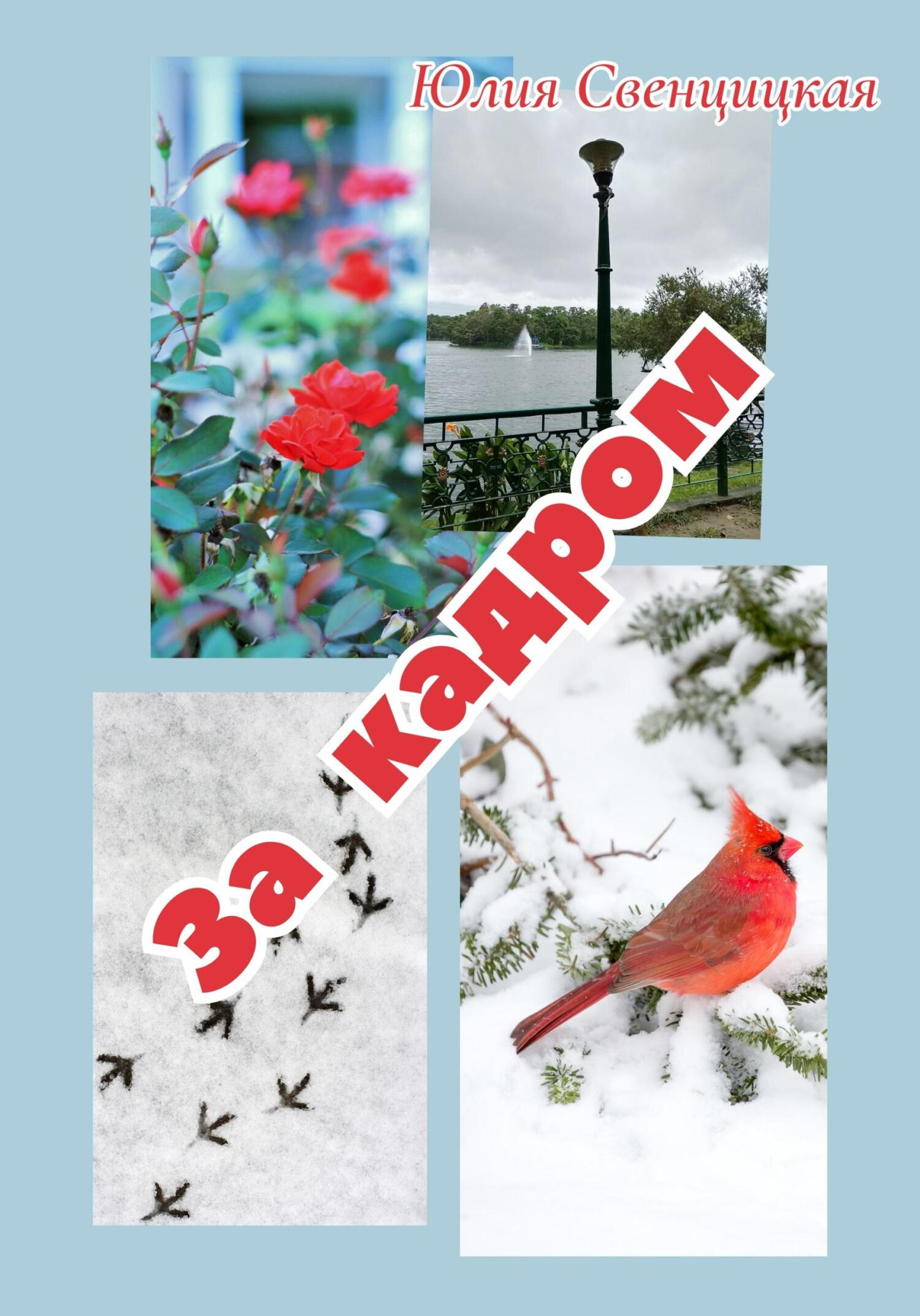 читать За кадром