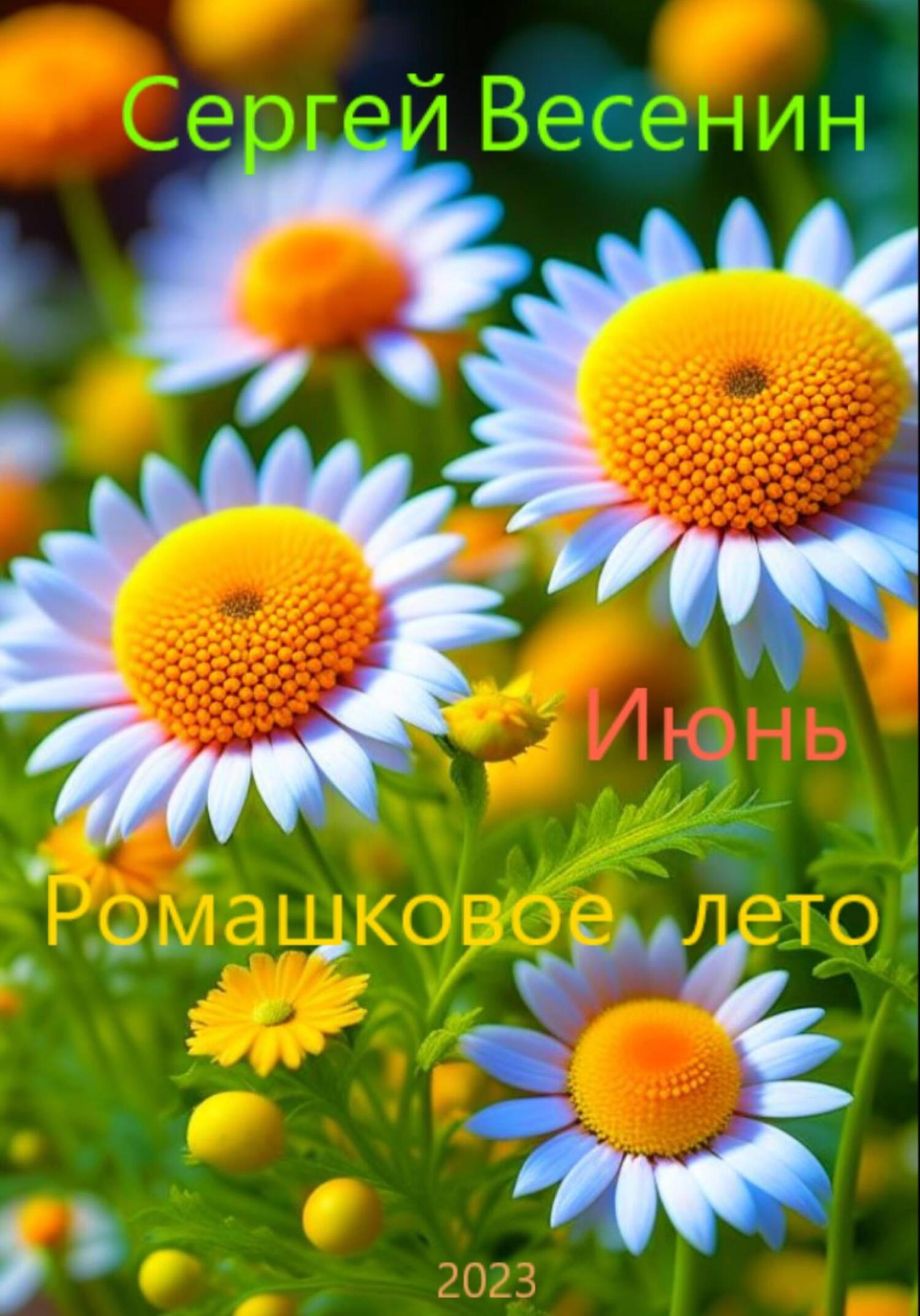 читать Ромашковое лето