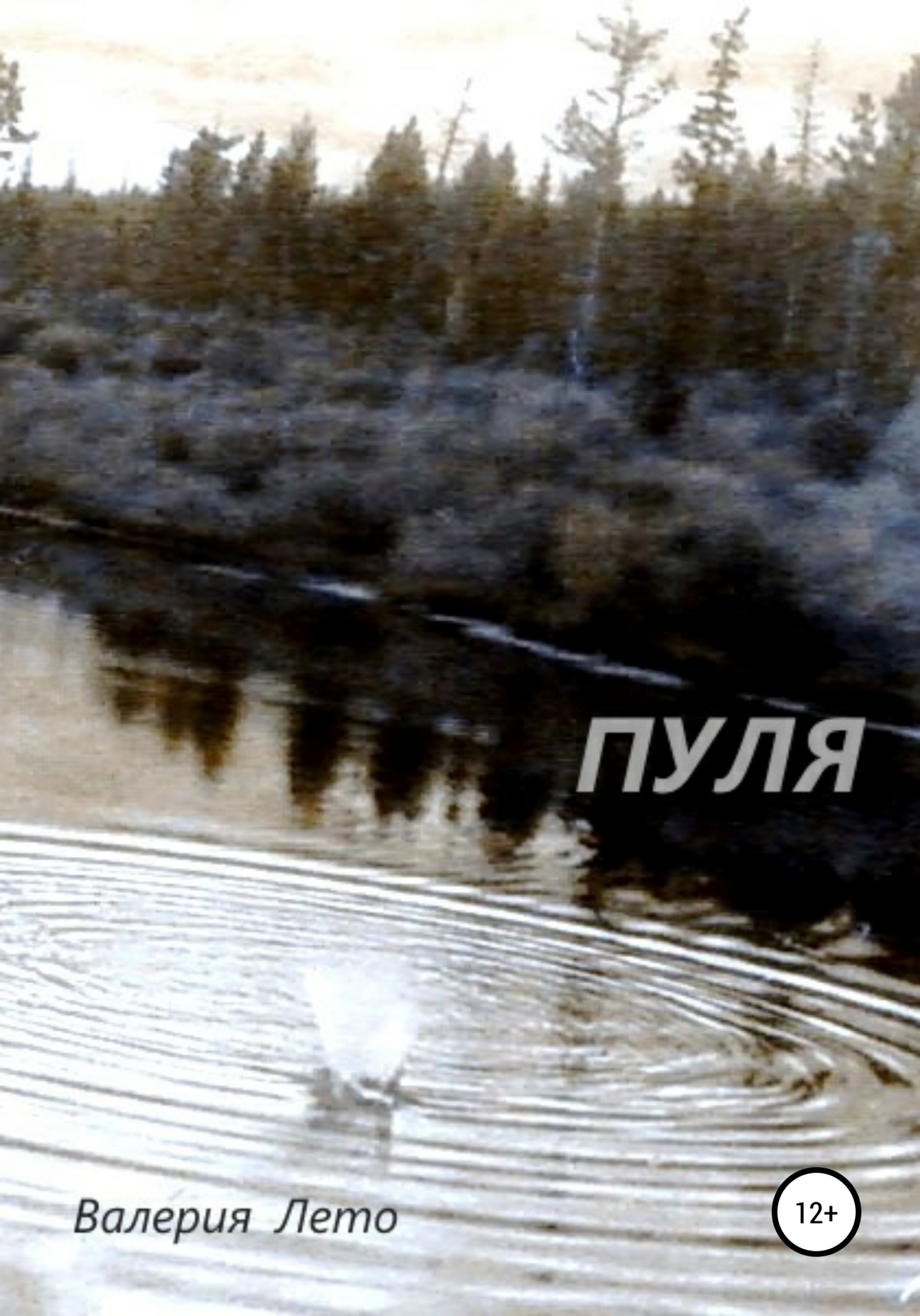 читать Пуля