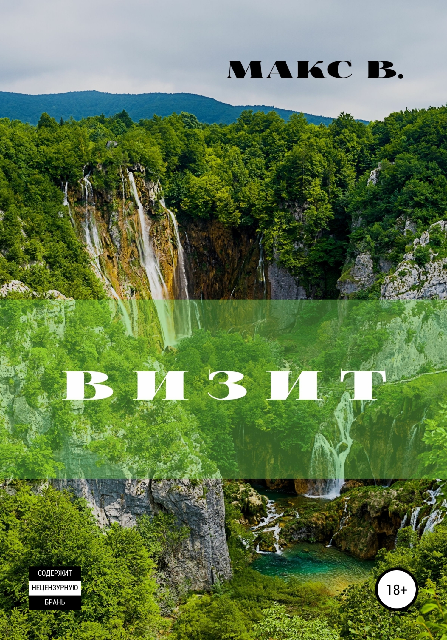 читать Визит