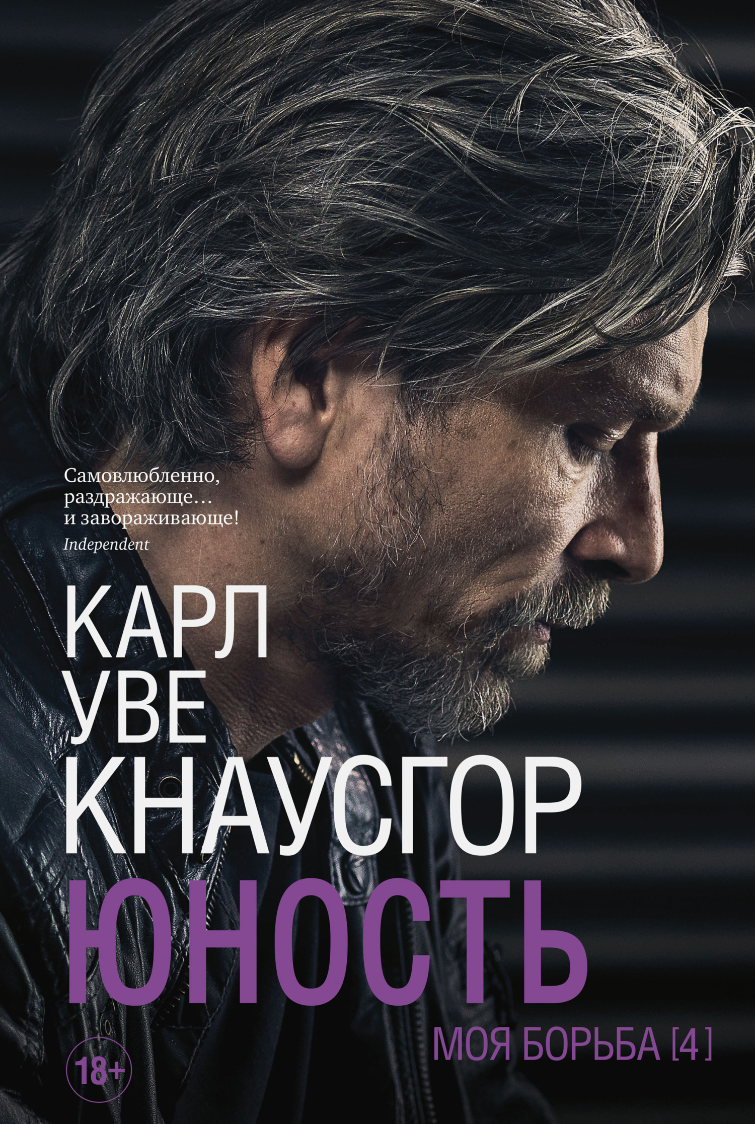читать Моя борьба. Книга четвертая. Юность
