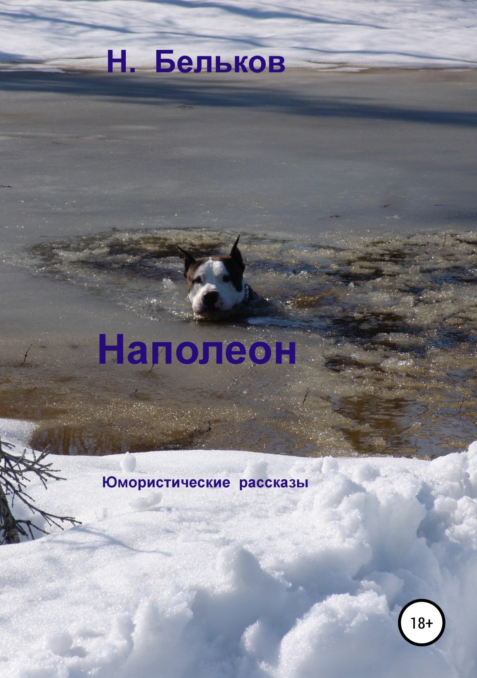 читать Наполеон. Сборник рассказов