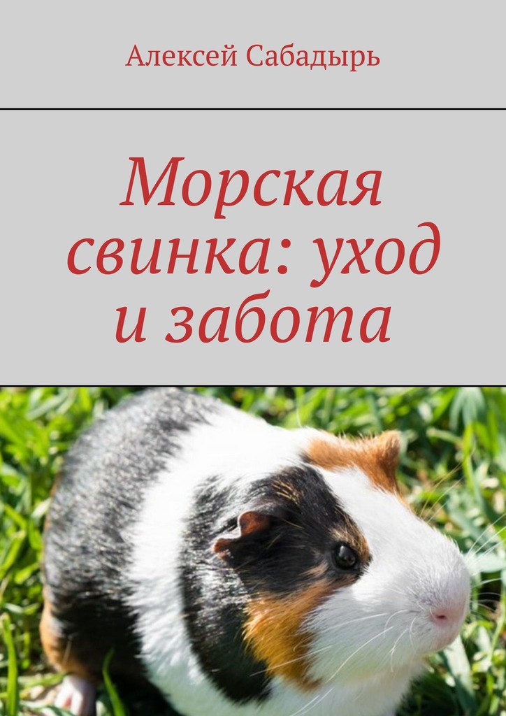 читать Морская свинка: уход и забота