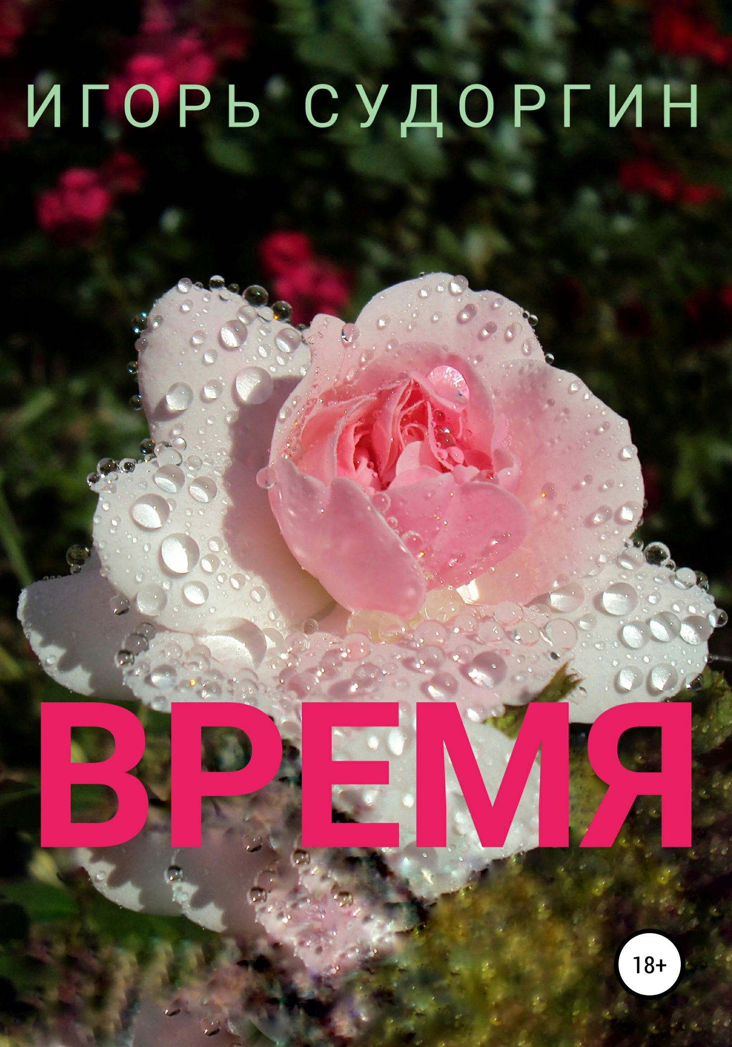 читать Время