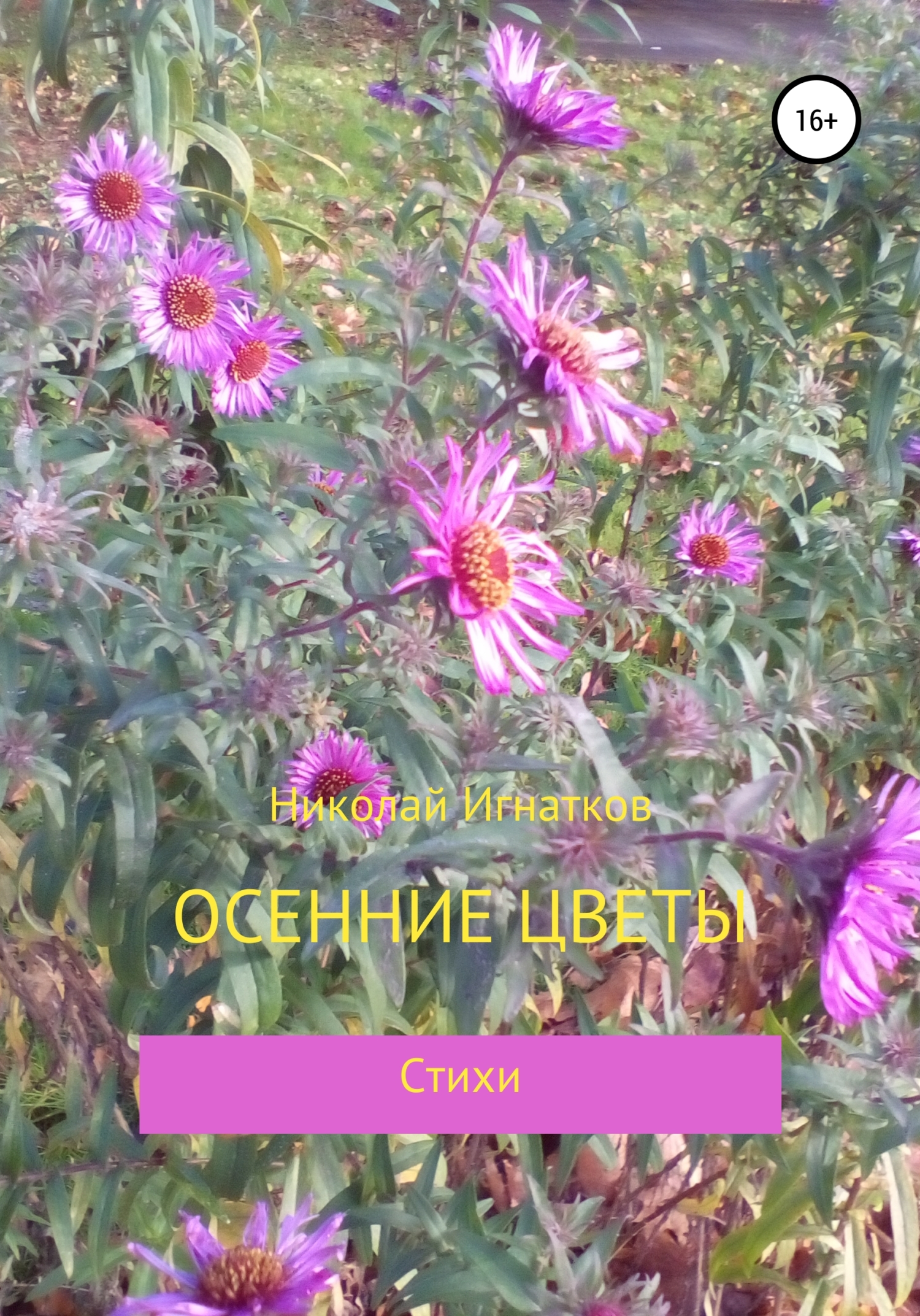 читать Осенние цветы
