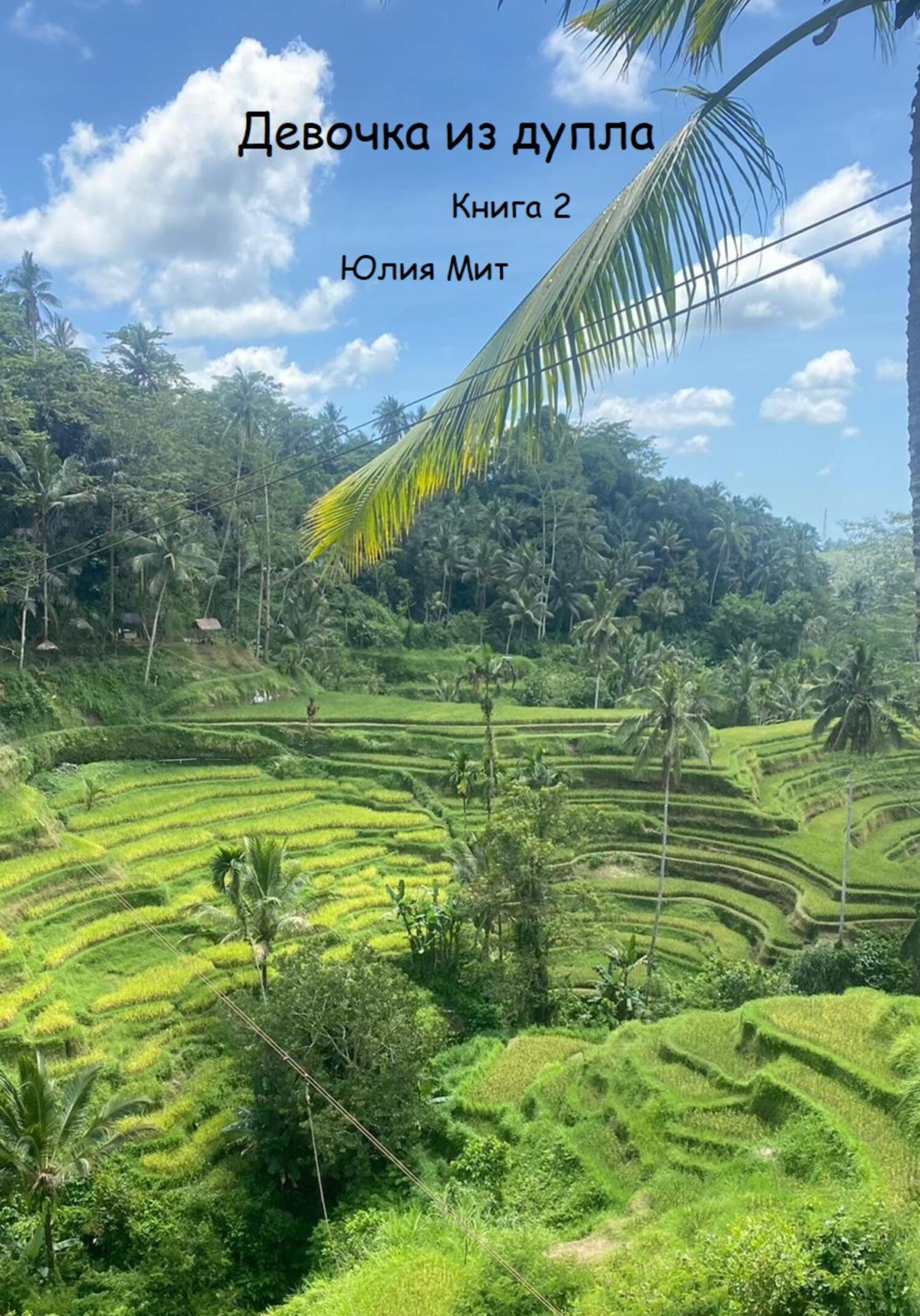 читать Девочка из Дупла. Книга 2