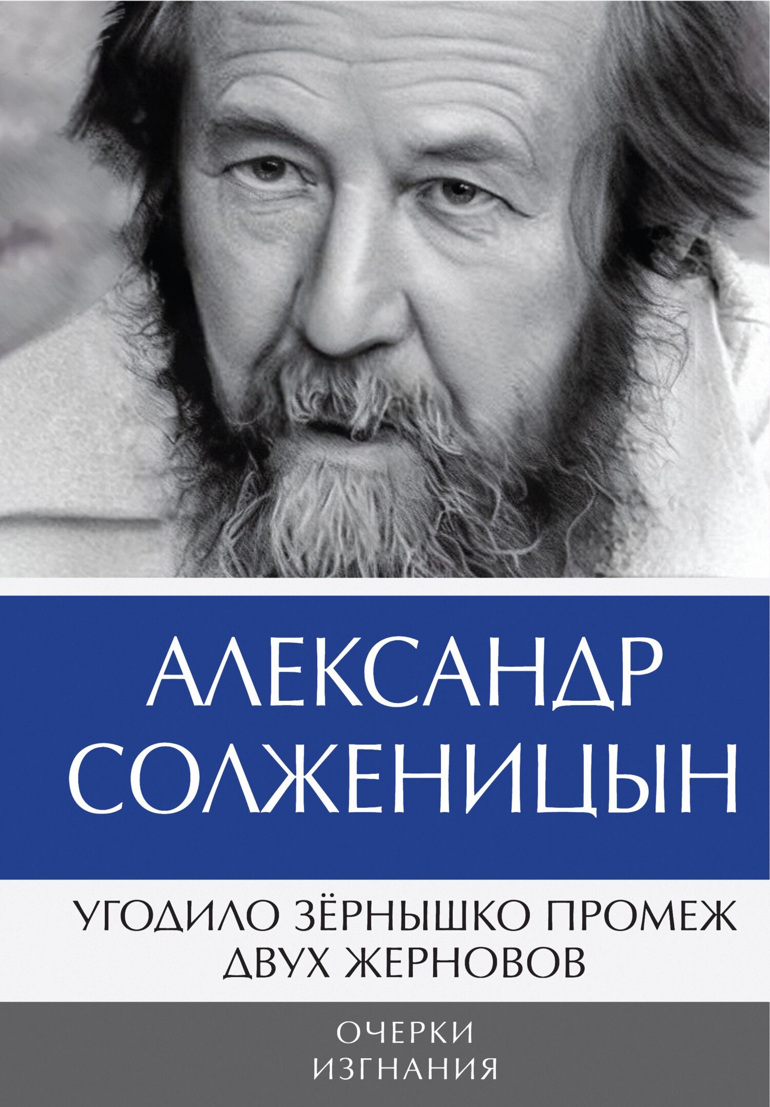 читать Угодило зёрнышко промеж двух жерновов. Очерки изгнания. Том 2