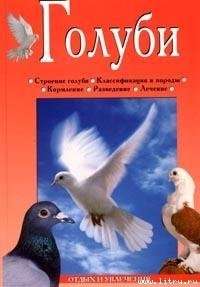 читать Голуби