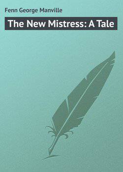читать The New Mistress: A Tale