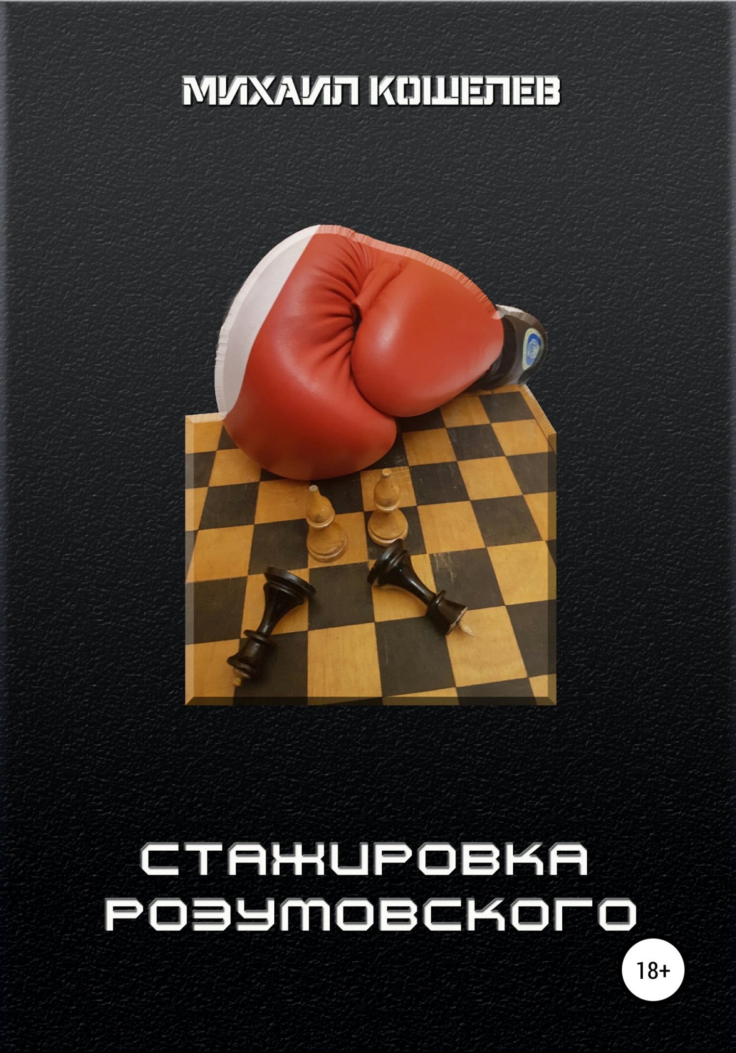 читать Стажировка Розумовского