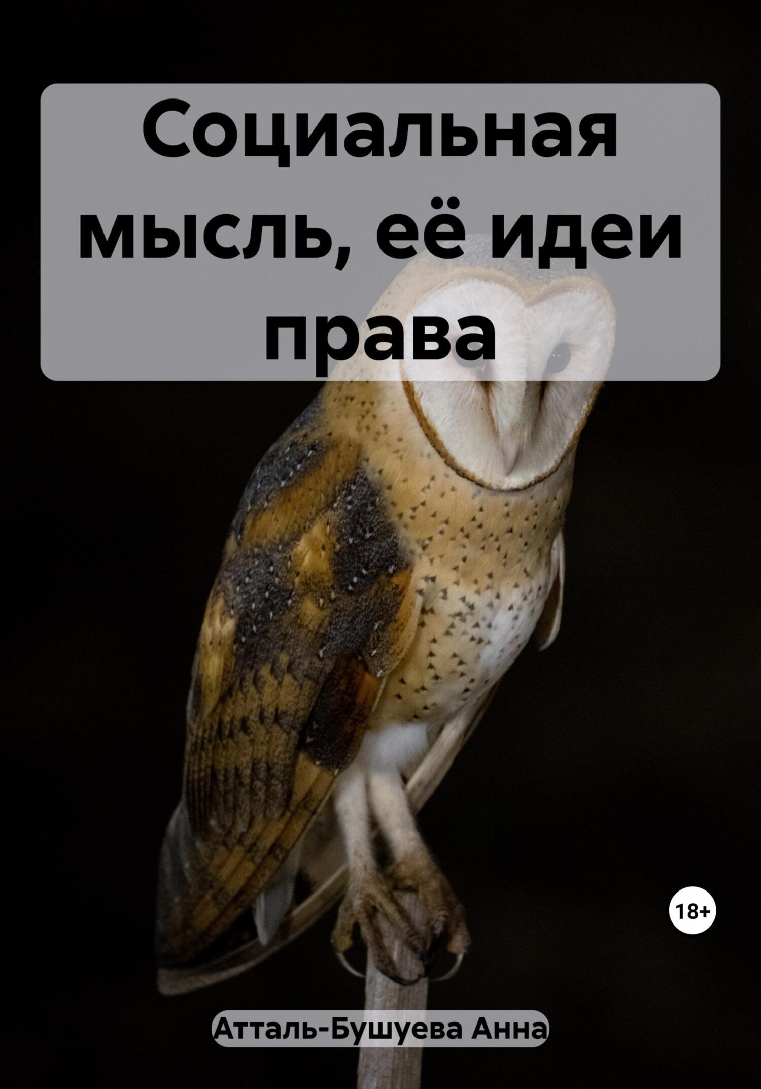 читать Социальная мысль, её идеи права