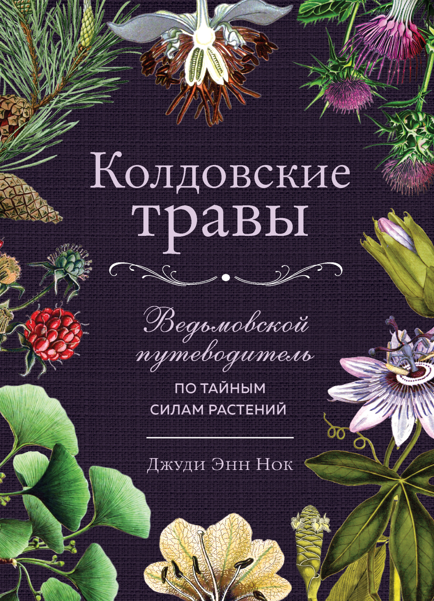 читать Колдовские травы. Ведьмовской путеводитель по тайным силам растений