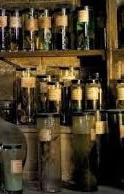 читать Зелья - это вам не супчик!