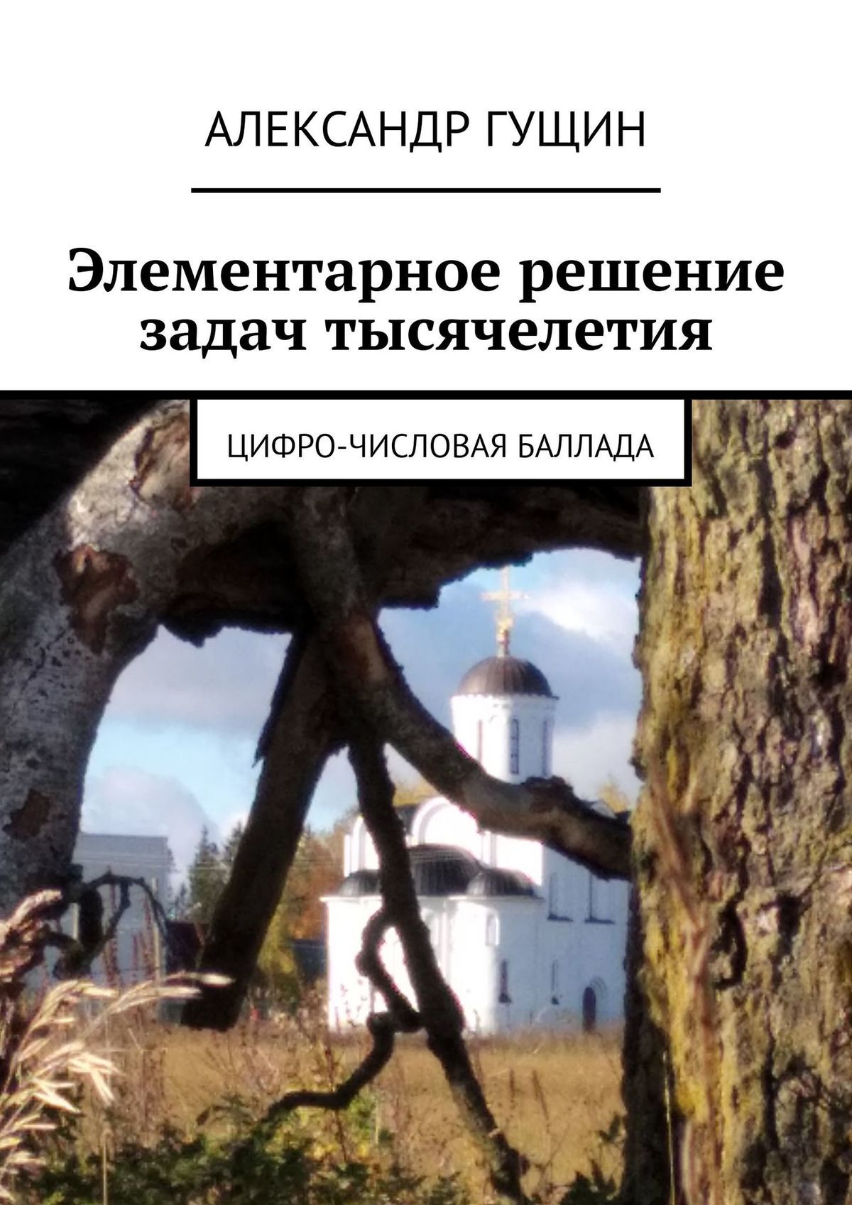 читать Элементарное решение задач тысячелетия. Цифро-числовая баллада