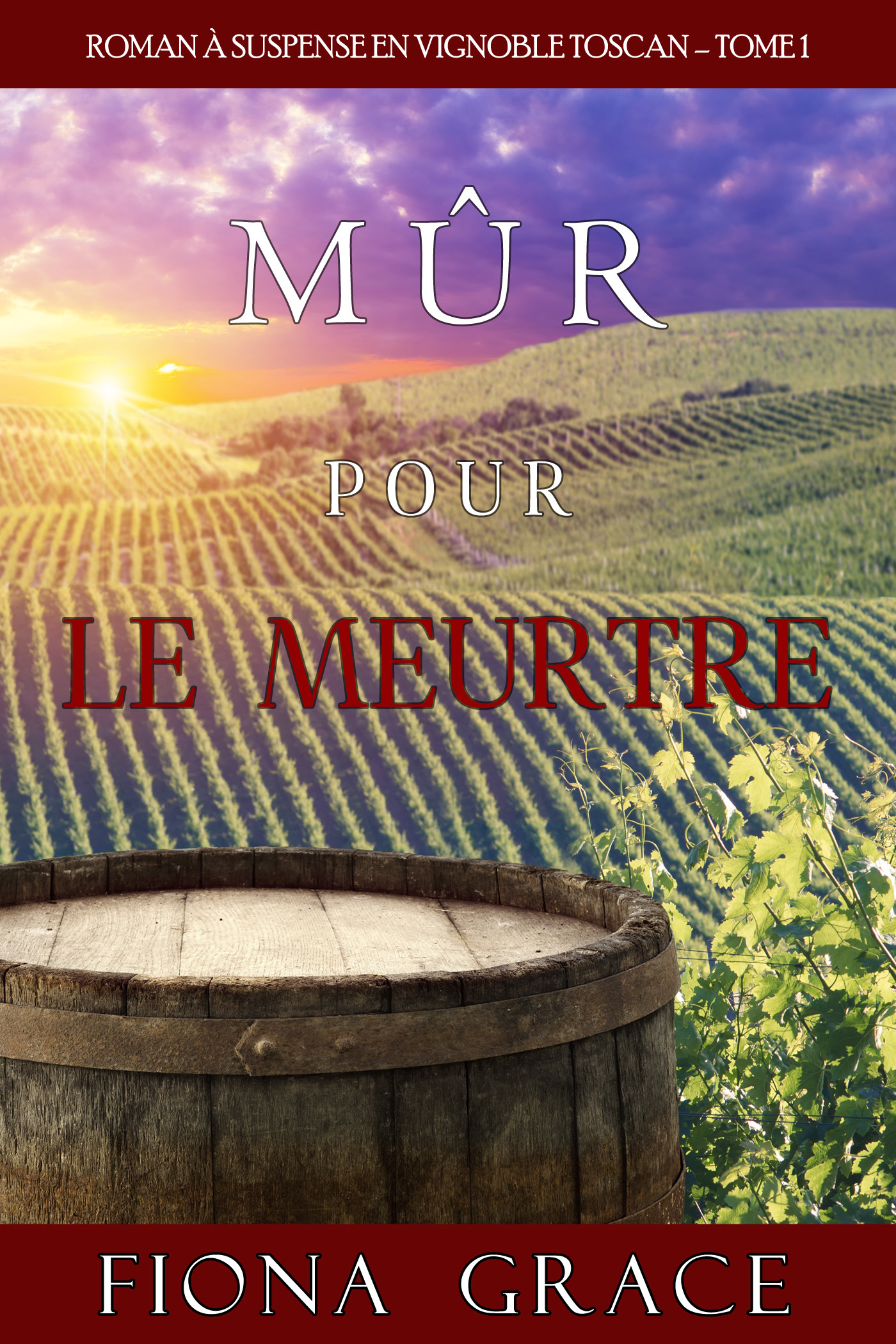 читать Mûr pour le Meurtre