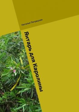 читать Янтарь для Каролины. Ироничный роман