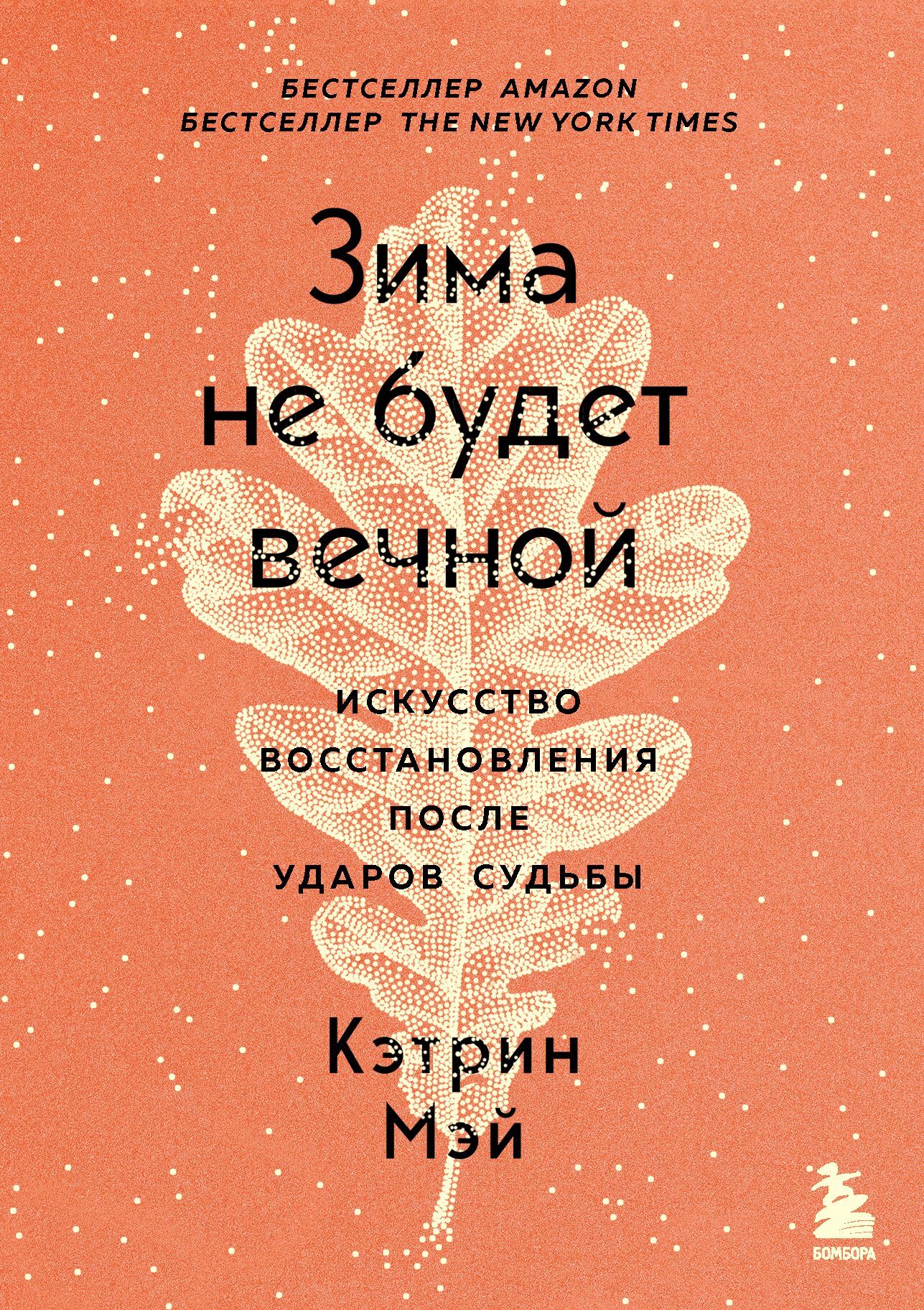 читать Зима не будет вечной. Искусство восстановления после ударов судьбы